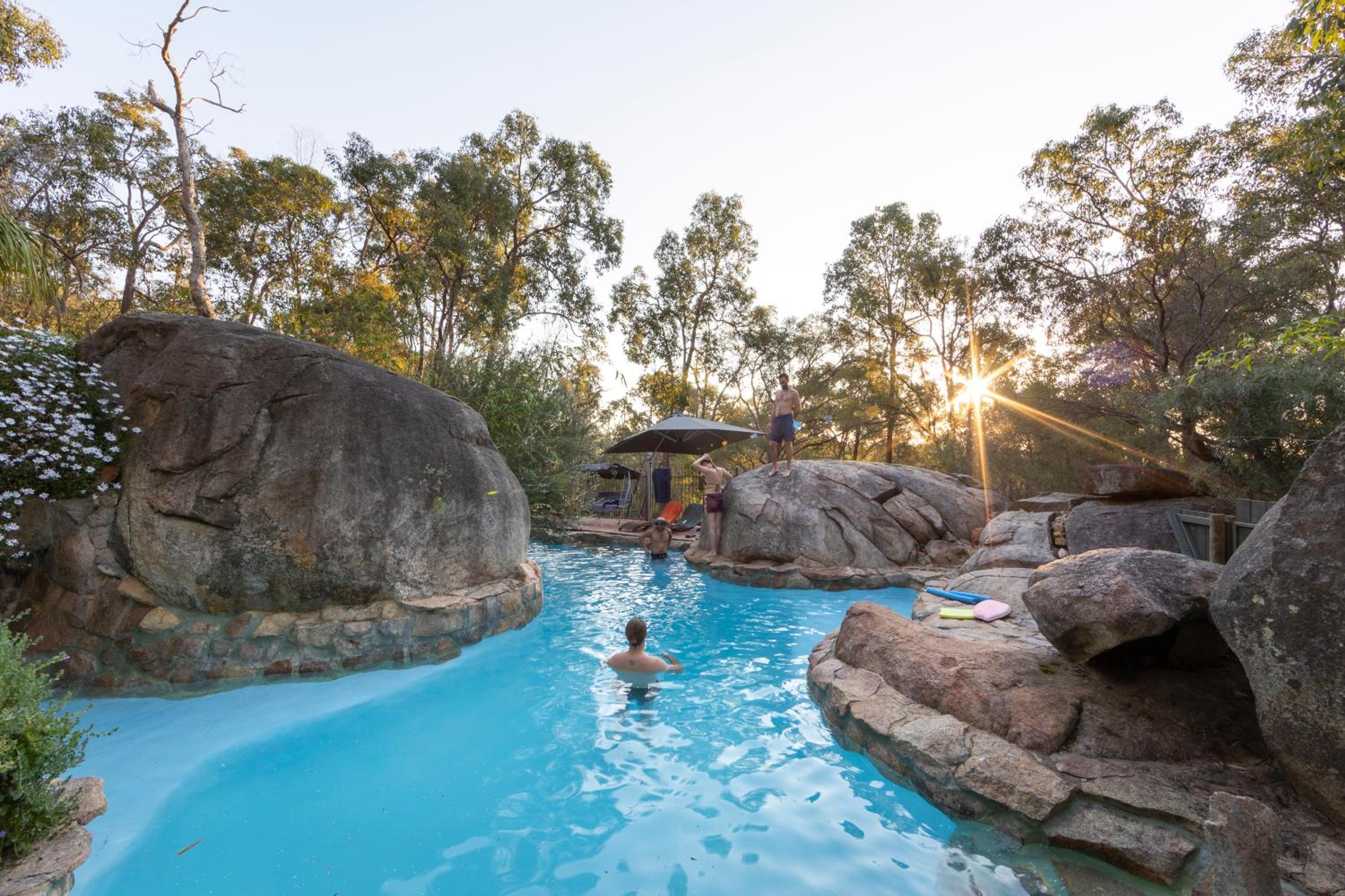A Paradise for Dogs and A Magical Retreat for Hoomans view 3