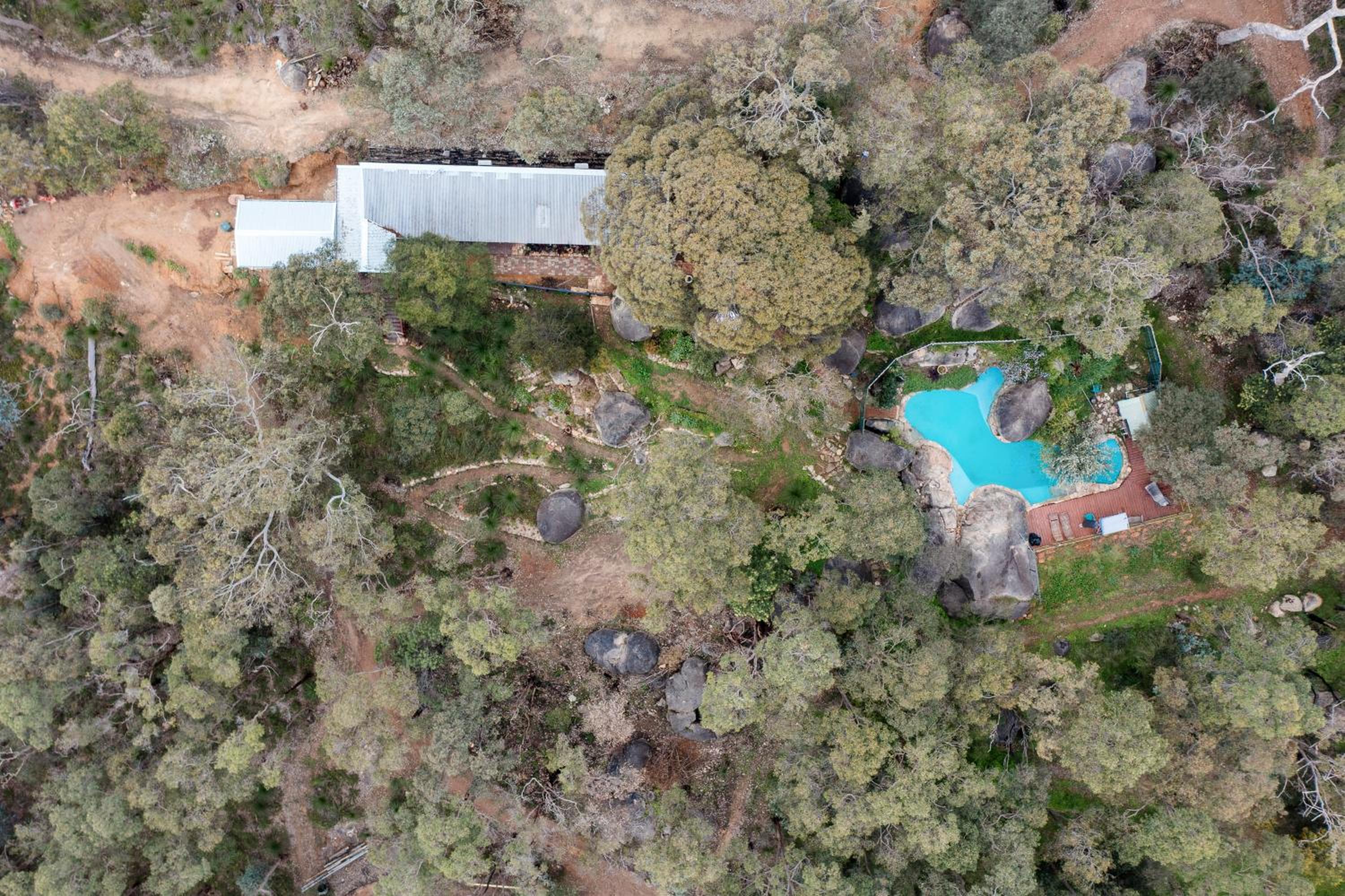 A Paradise for Dogs and A Magical Retreat for Hoomans view 2
