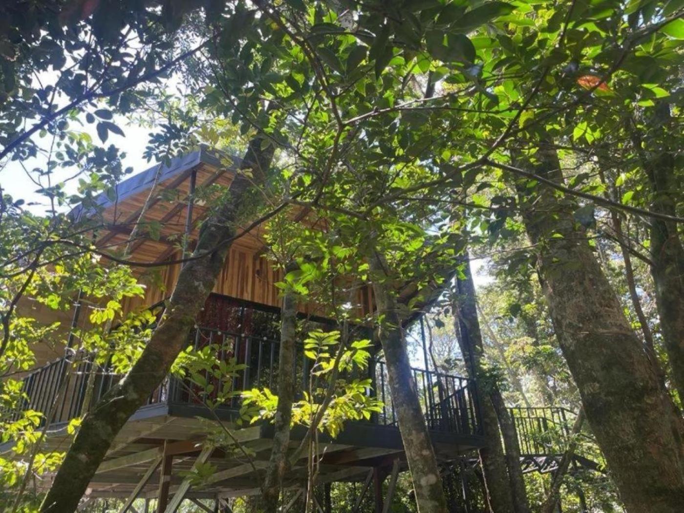 Roca Verde - Monteverde Cloud Forest Lodging