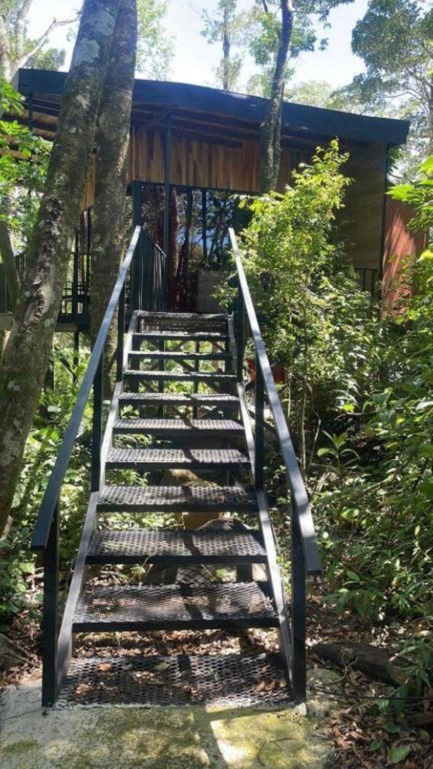 Roca Verde - Monteverde Cloud Forest Lodging