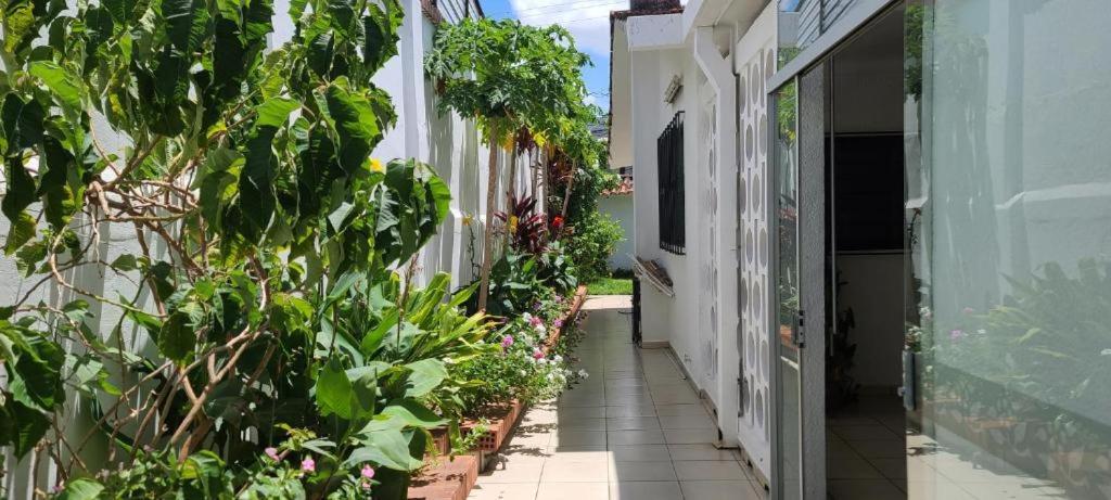 Travelero Hostel & Tours