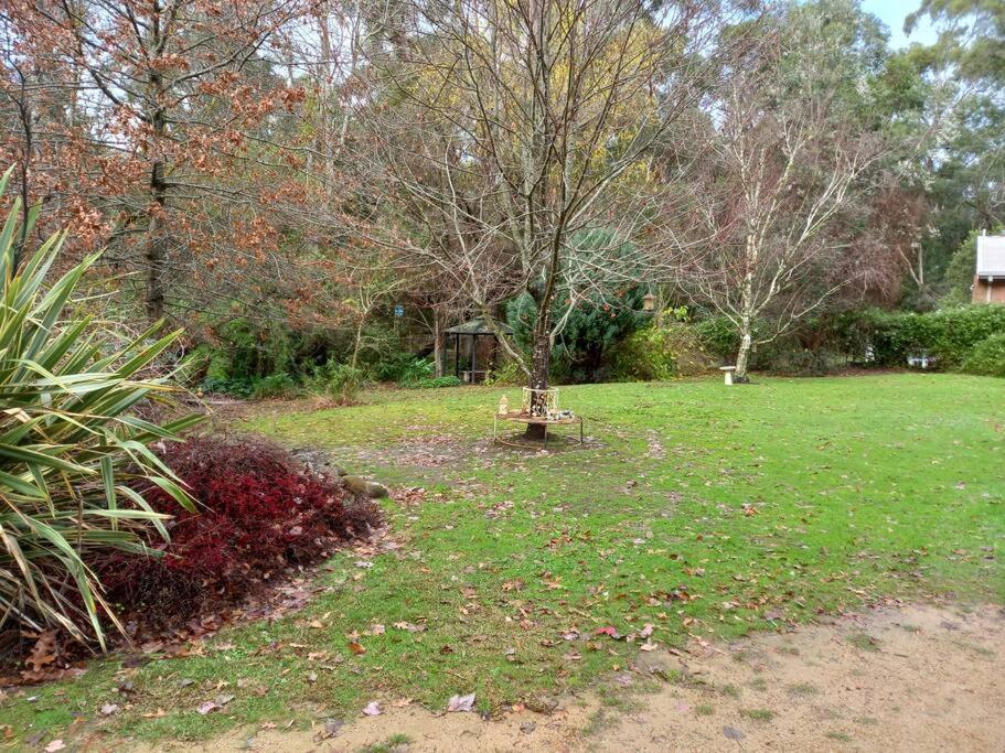 Homefield Cottage Halls Gap