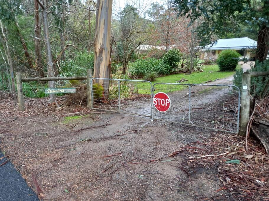 Homefield Cottage Halls Gap