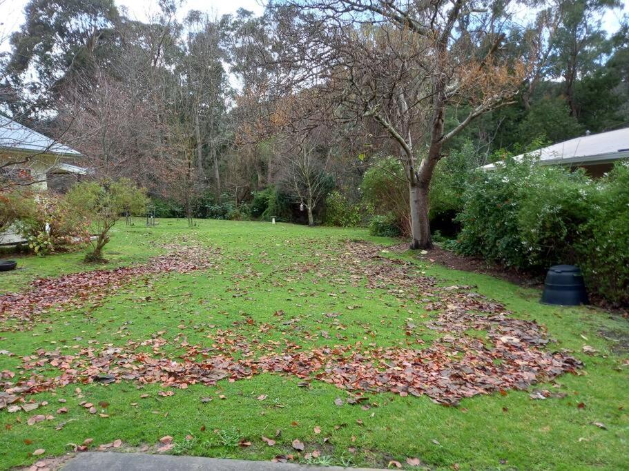 Homefield Cottage Halls Gap