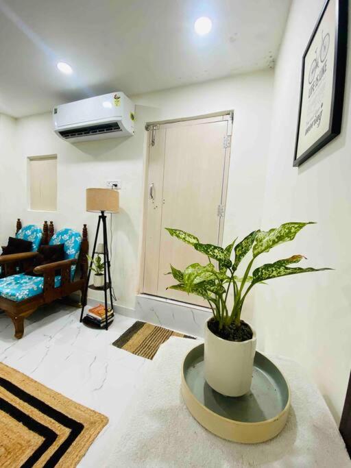 Cozy & Peaceful Urban Space! view 4