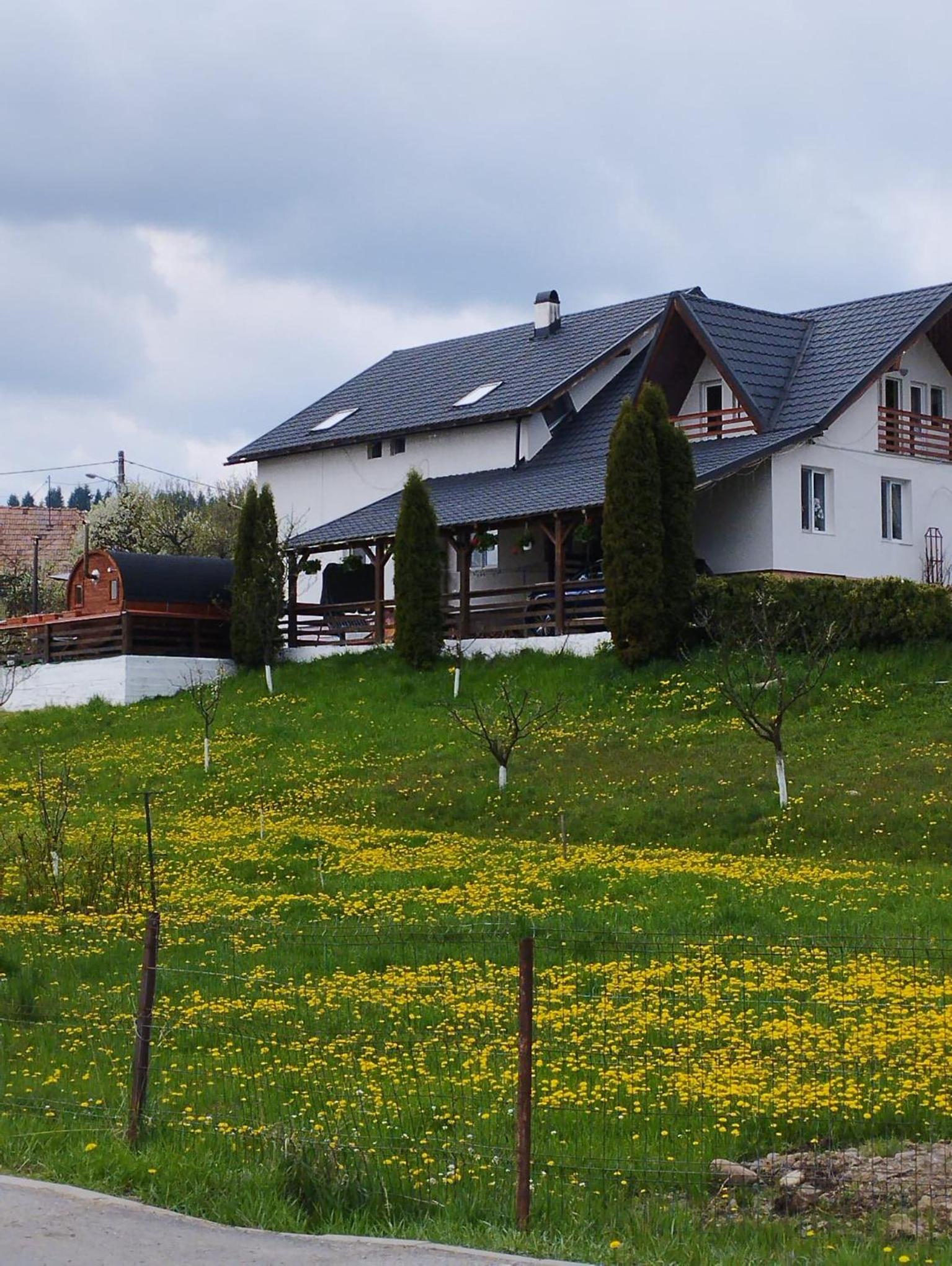 Casa Caia
