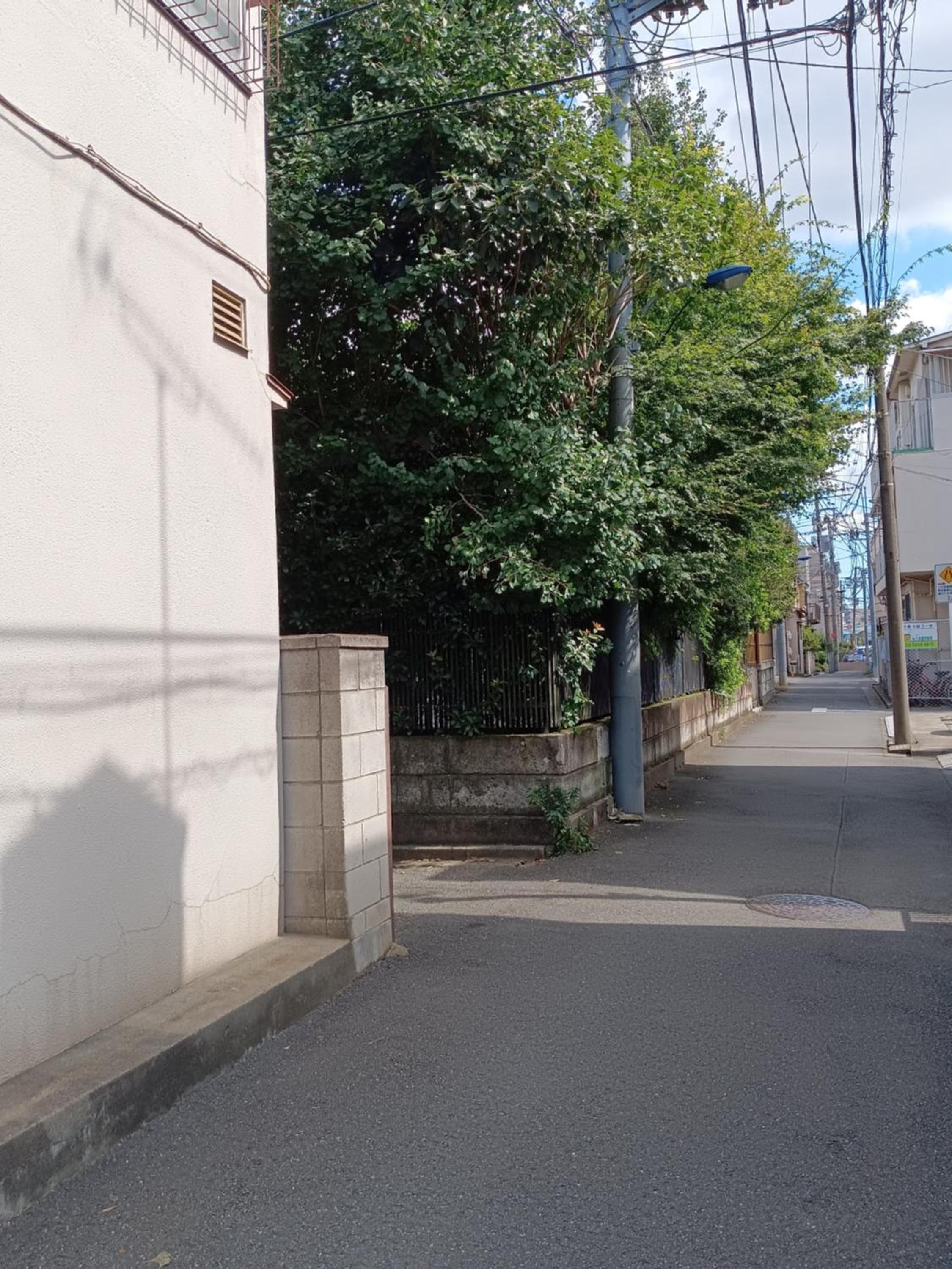 Tokyo downtown牡丹莊