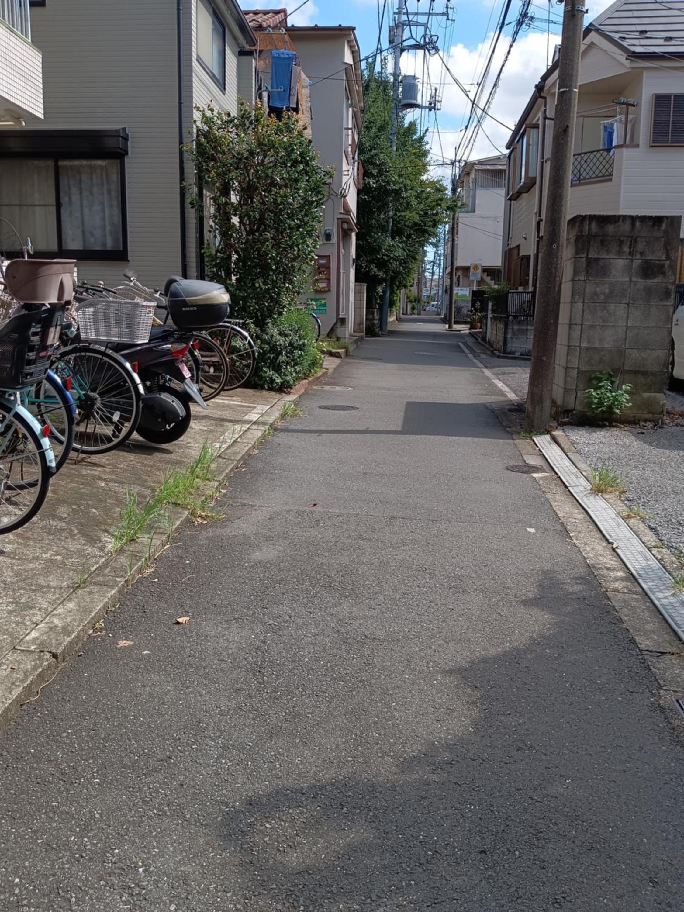 Tokyo downtown牡丹莊