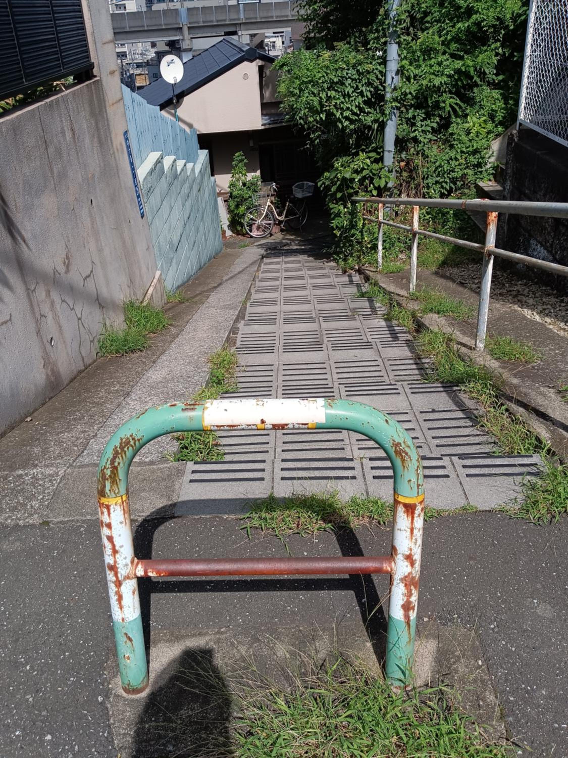 Tokyo downtown牡丹莊
