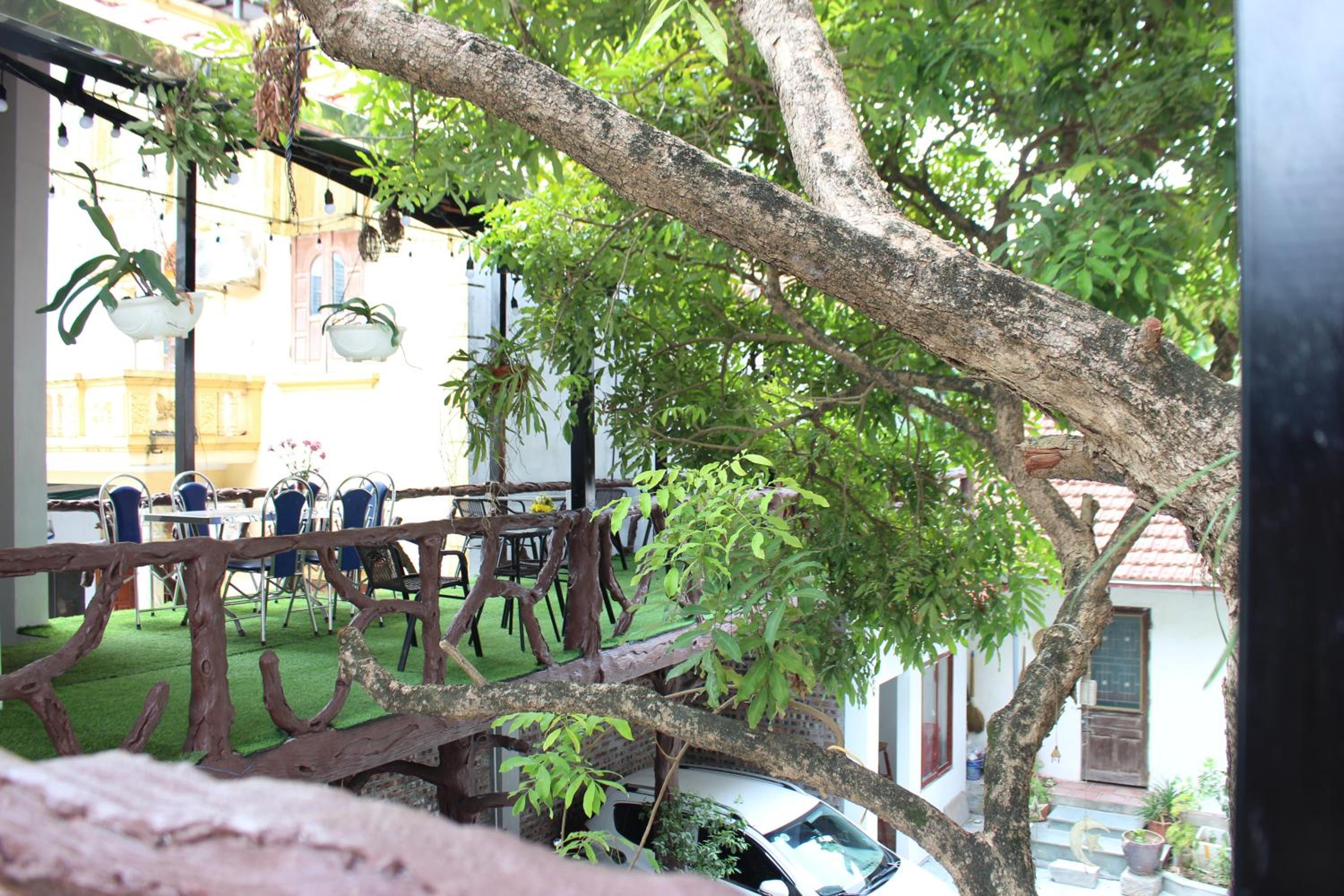 Photo 42