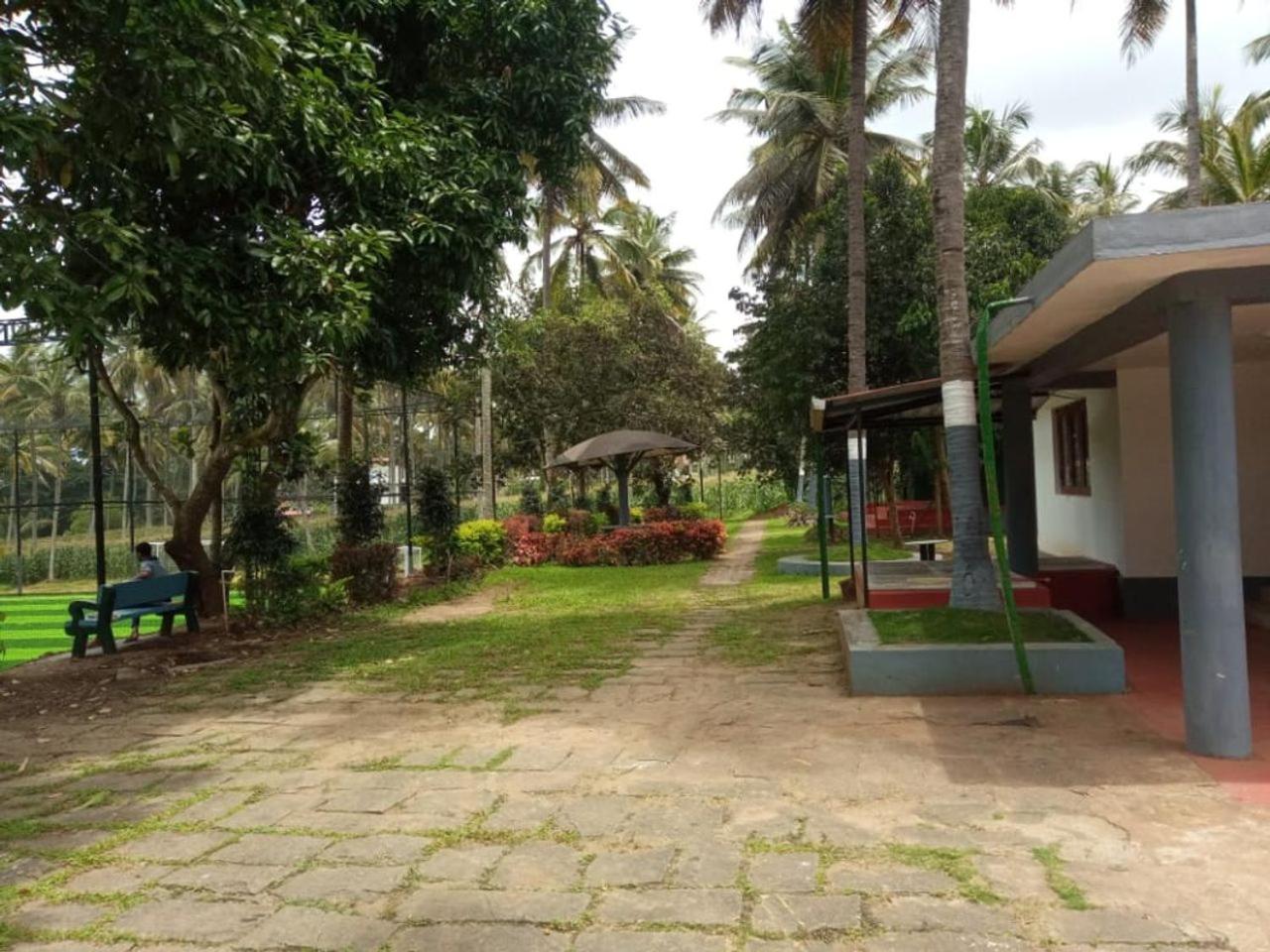 Photo 16