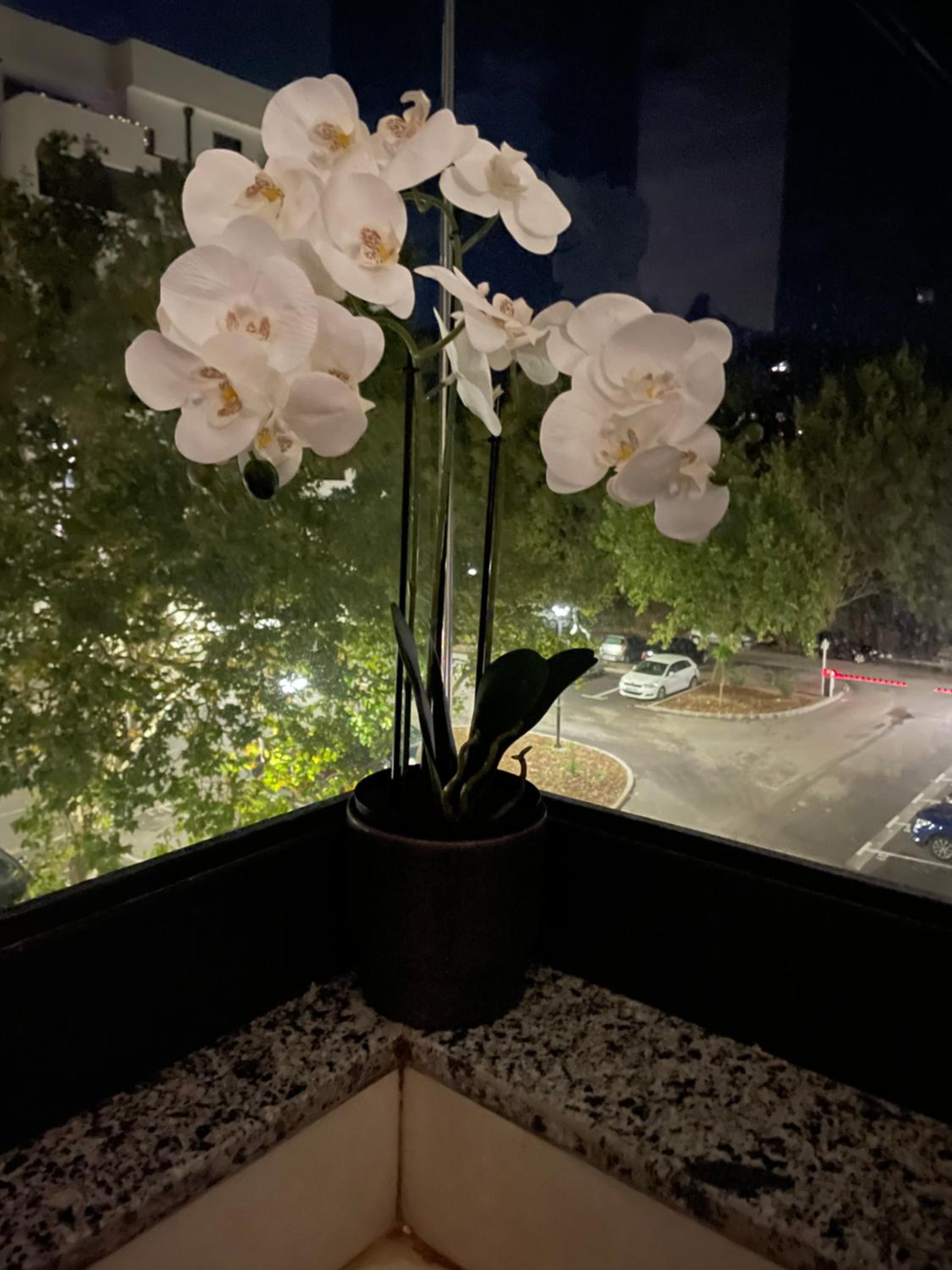 Apartment TAJM