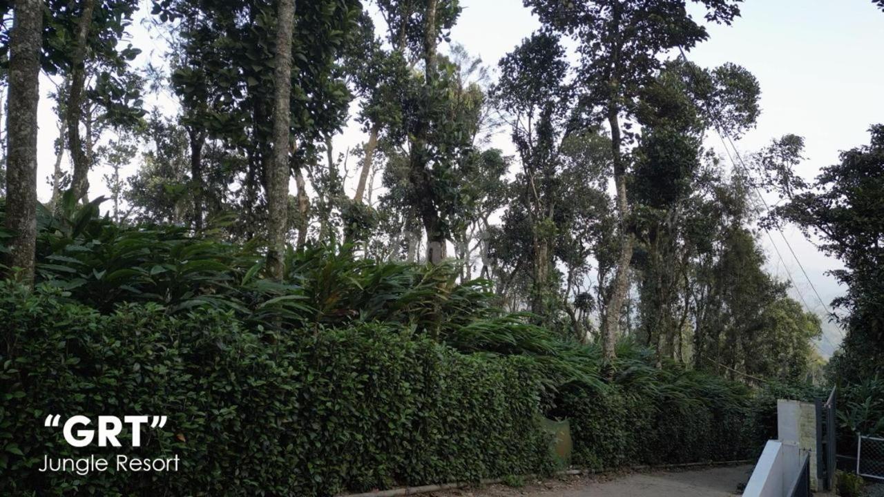 GRT Jungle Home Stay - A Traditional Village Stay view 4