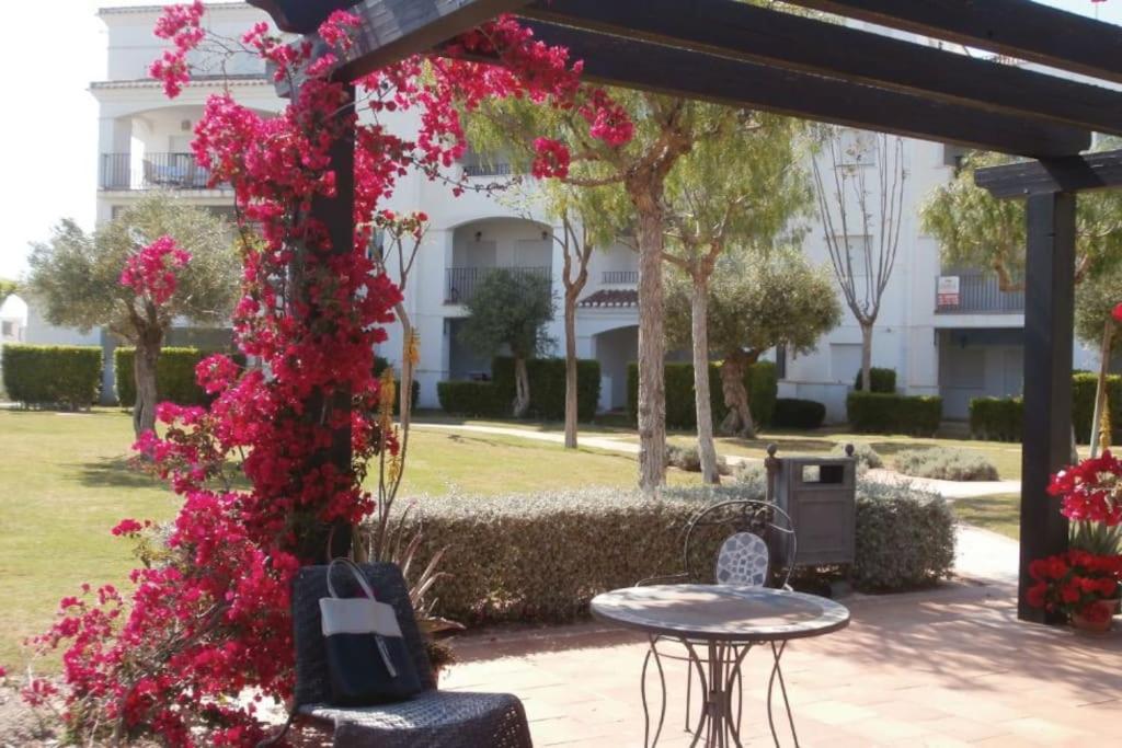 Casa vista