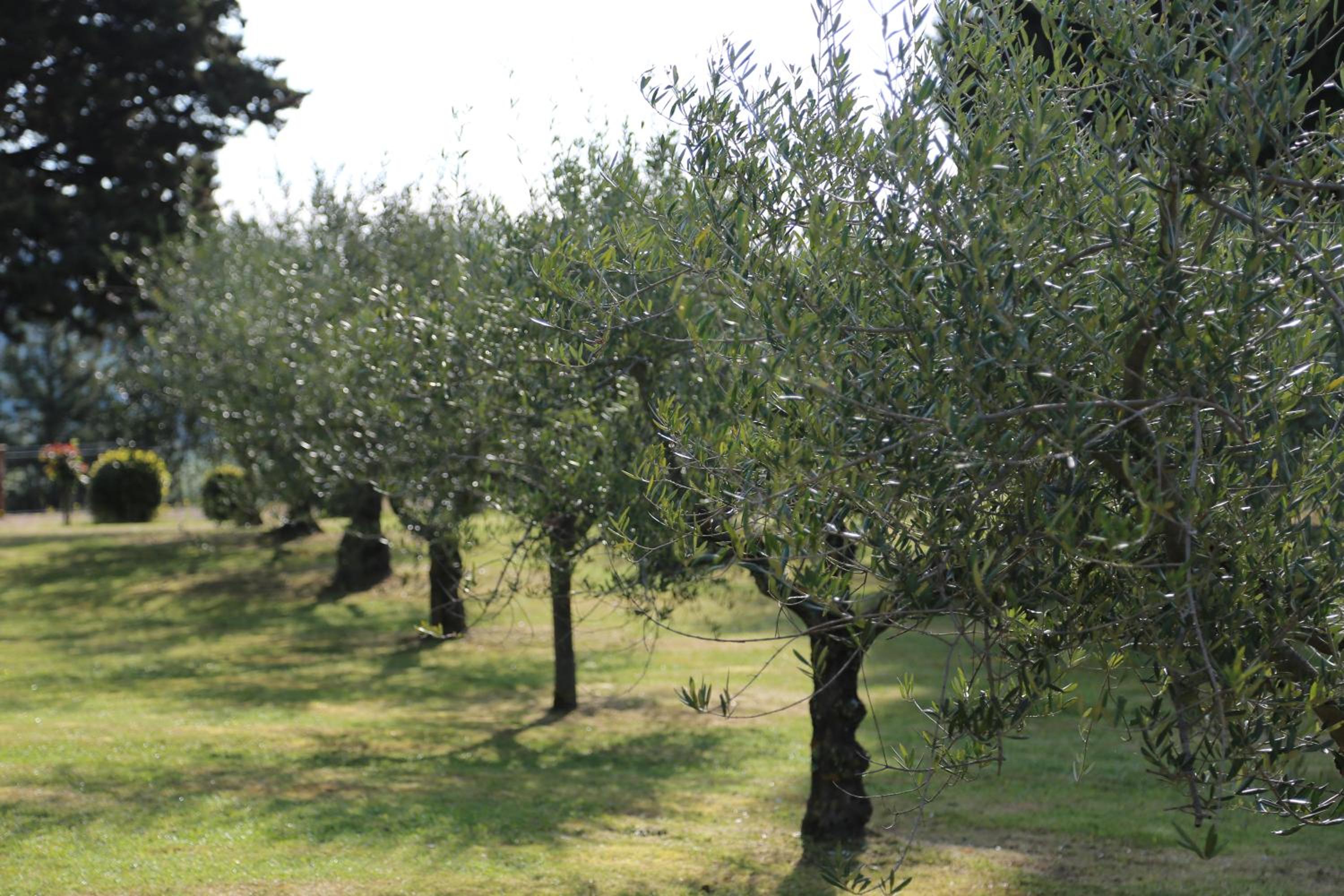 Sant'Antonio Country Resort