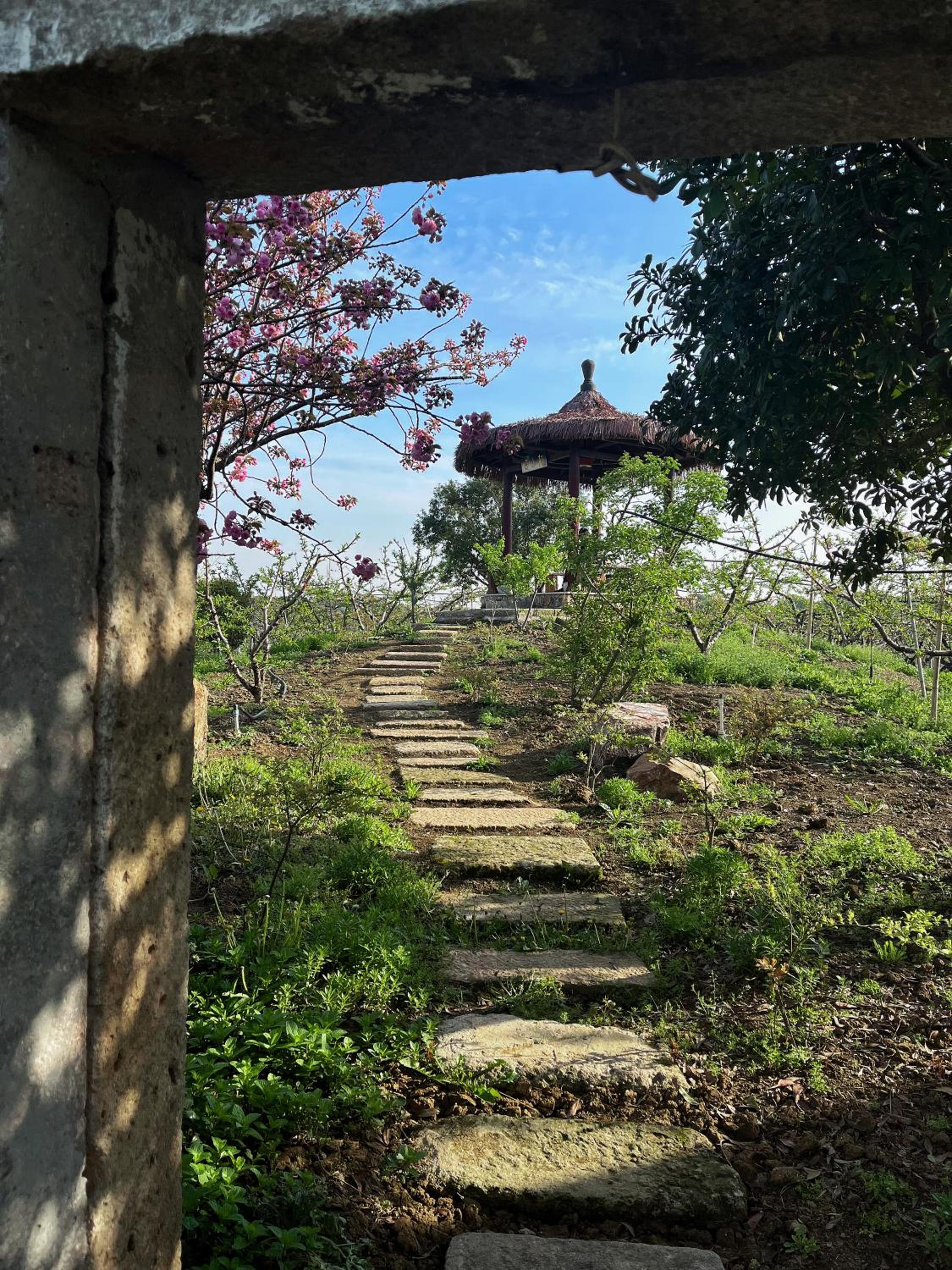 陌上是舍uptownFARM