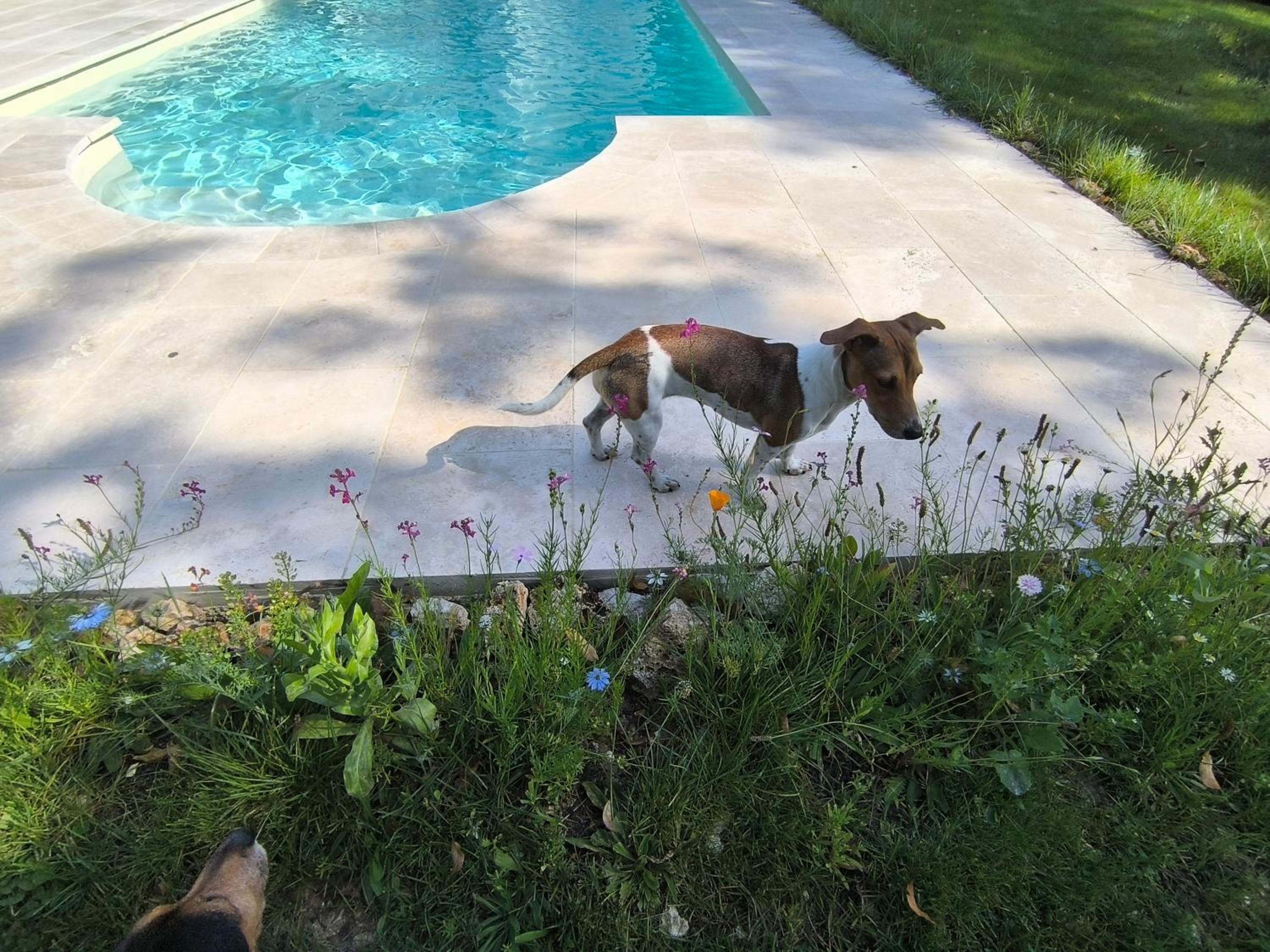 Domaine de Ris, photo 15