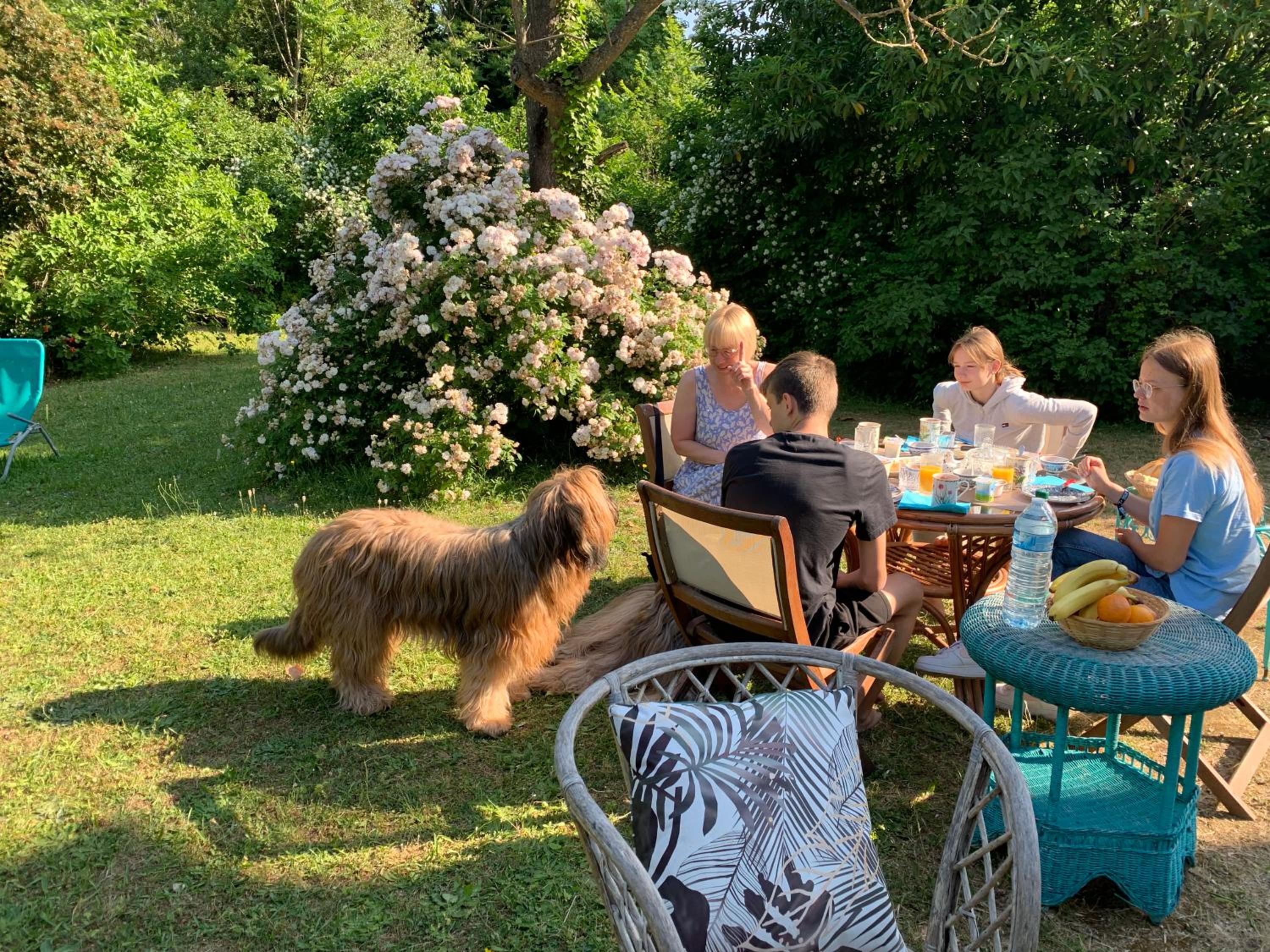 Domaine de Ris, photo 30