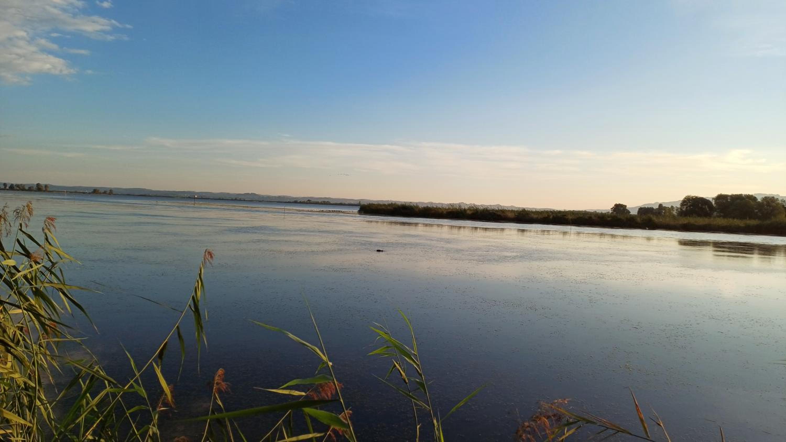 Zimmer am See