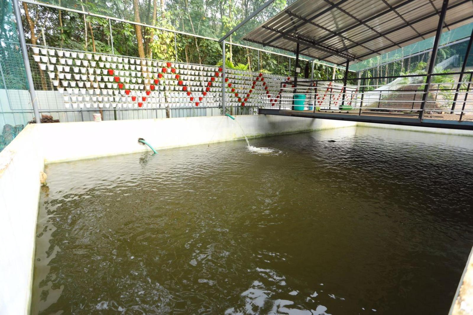 Karingens Resort