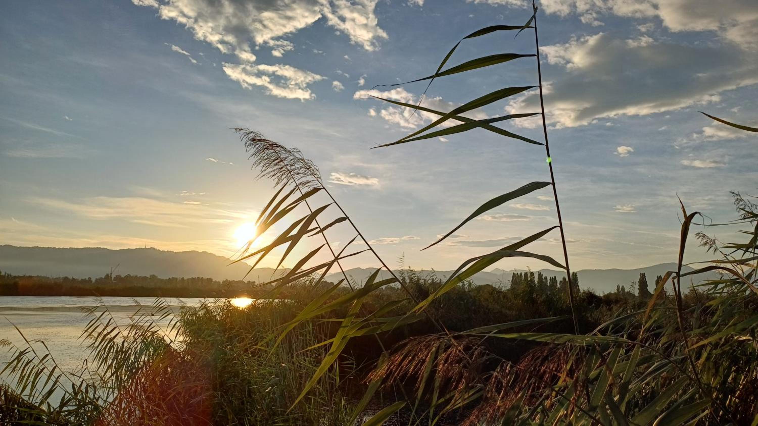 Zimmer am See