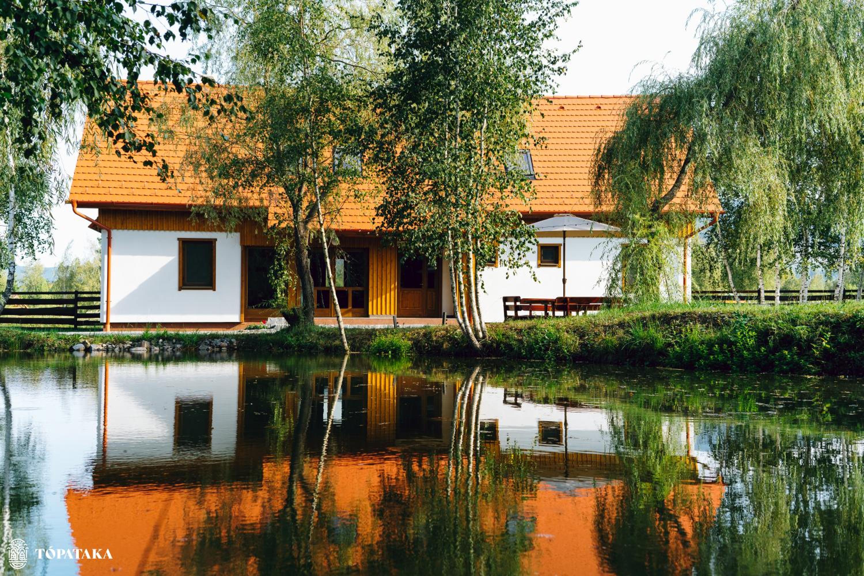 Photo 50