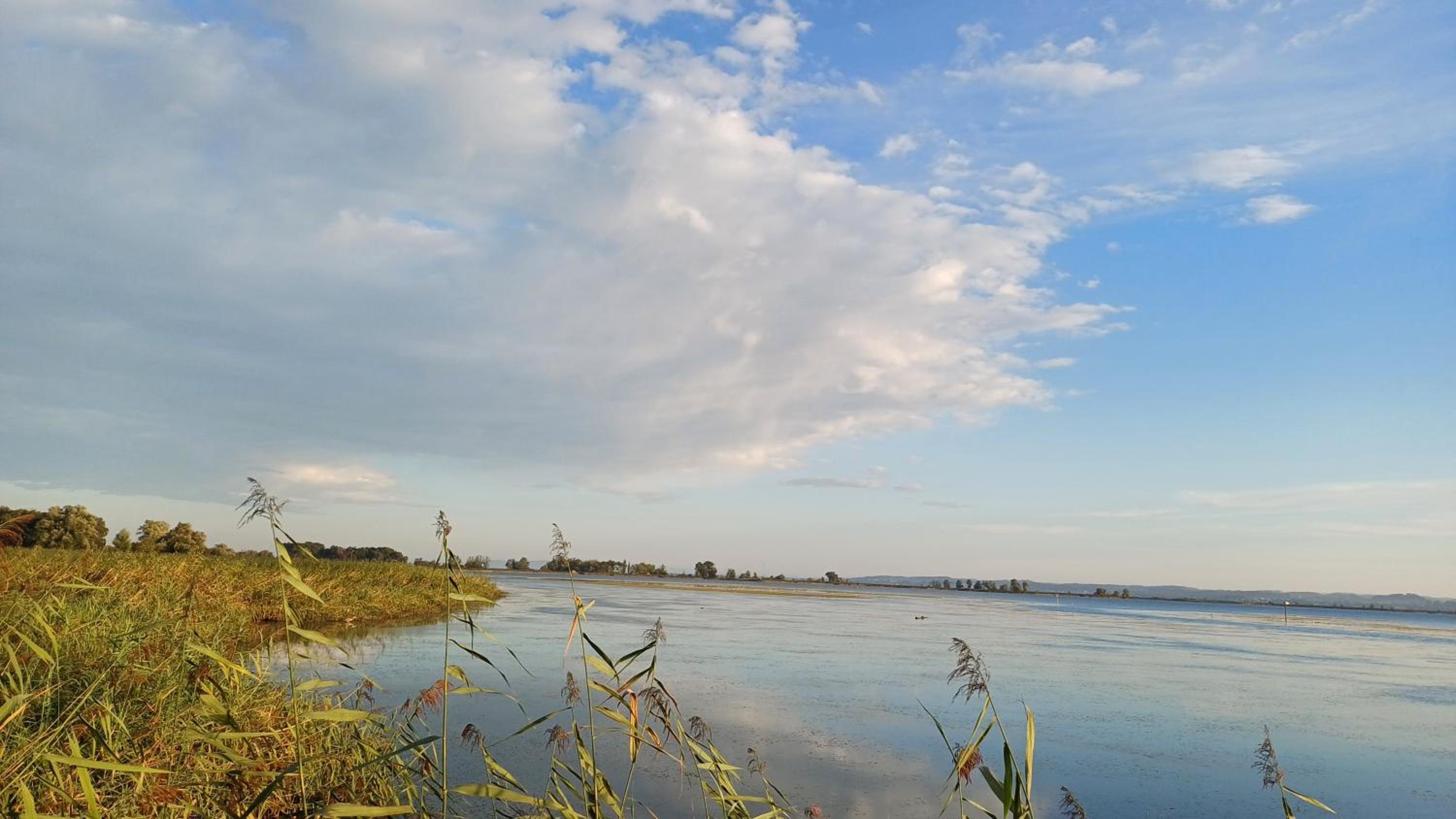 Zimmer am See