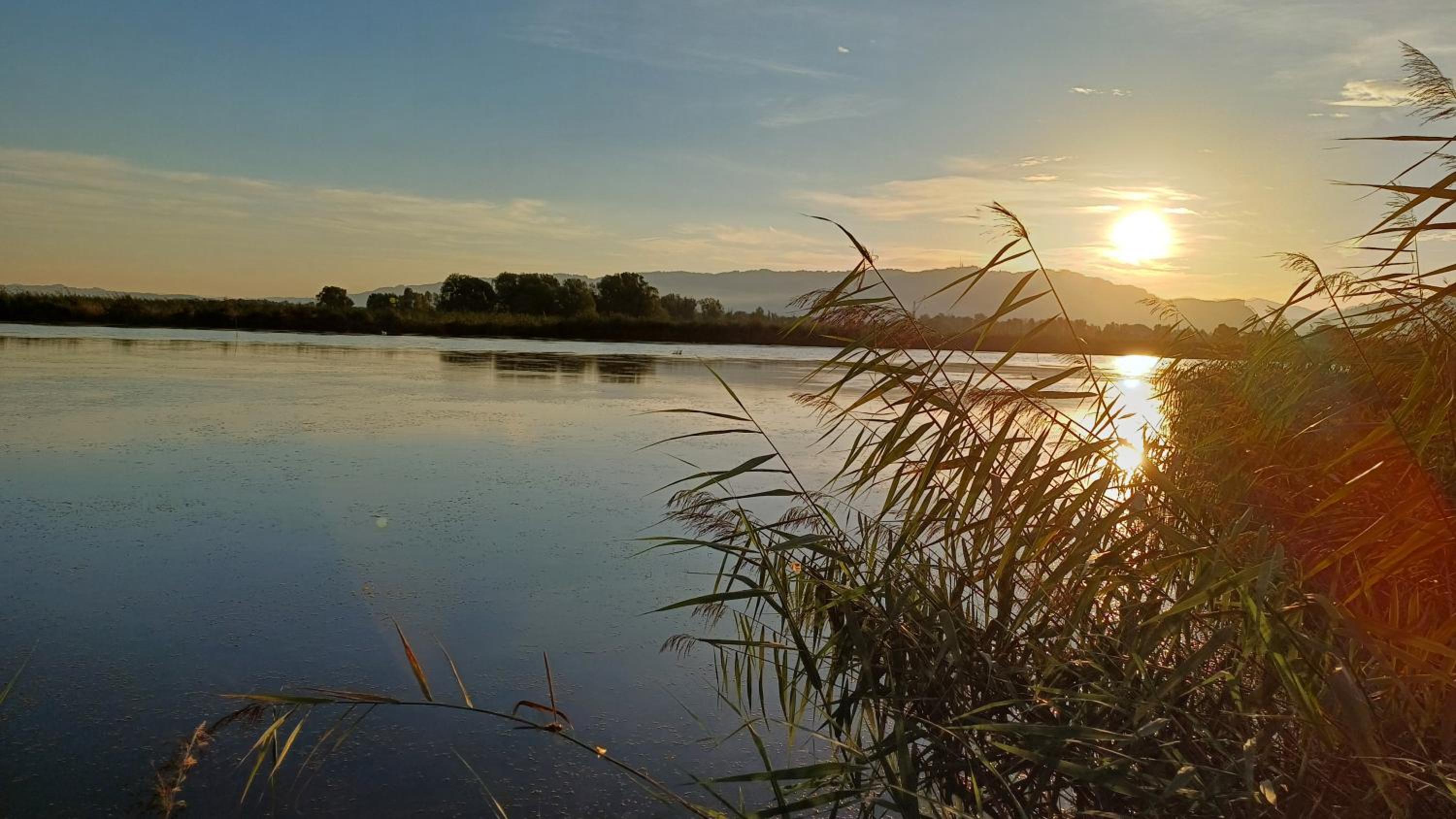 Zimmer am See