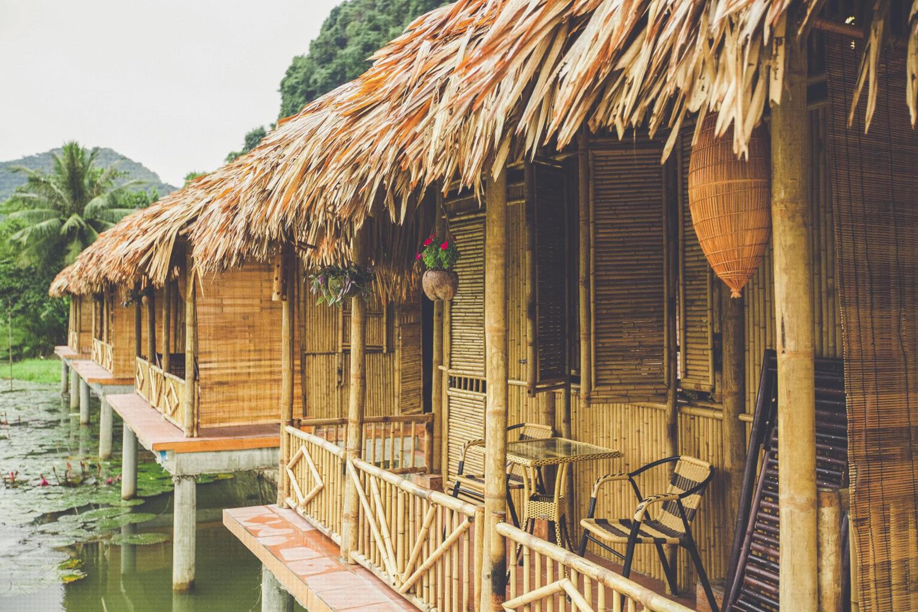 Tam Coc Rice Fields Resort 5