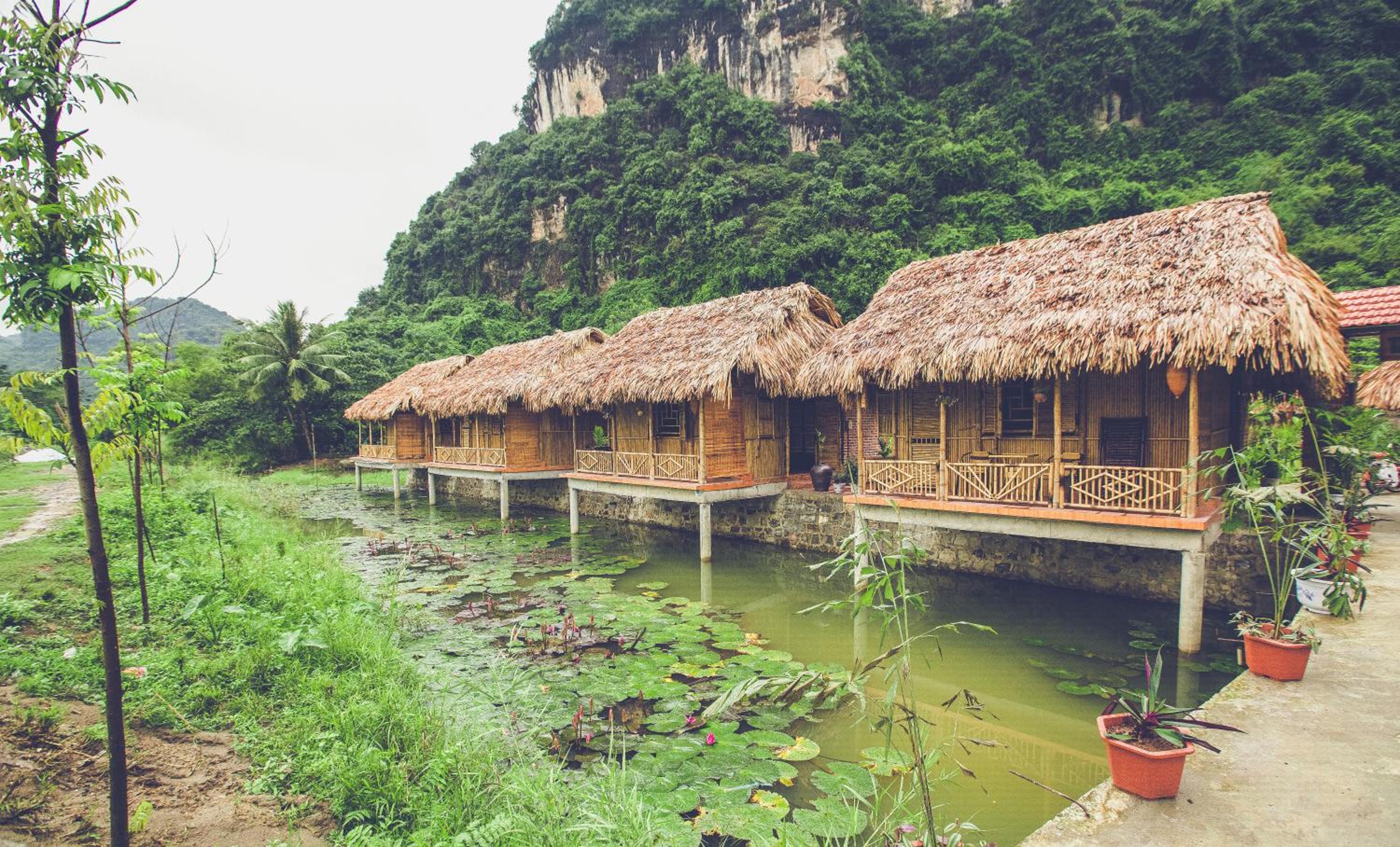 Tam Coc Rice Fields Resort 73