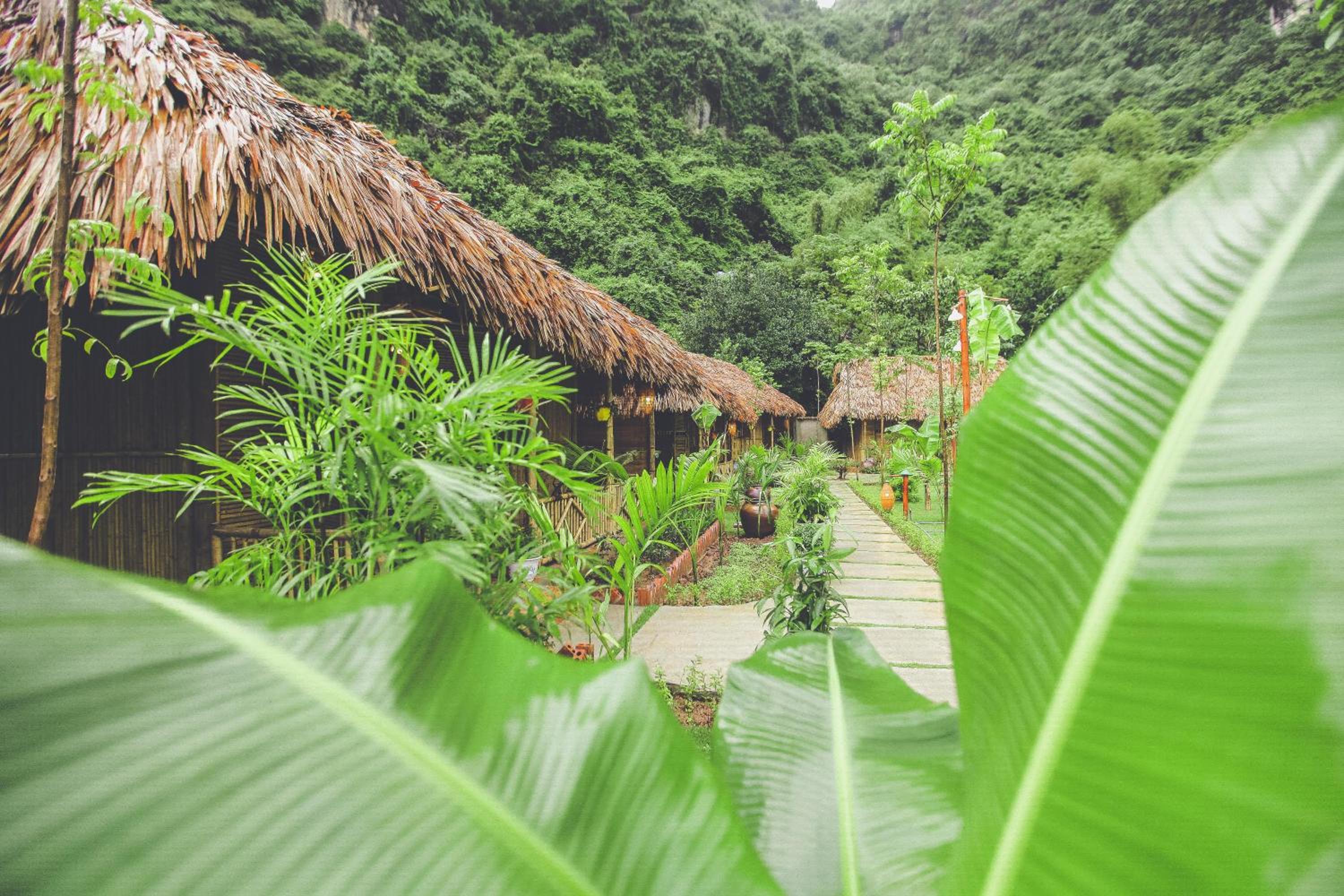 Tam Coc Rice Fields Resort 77
