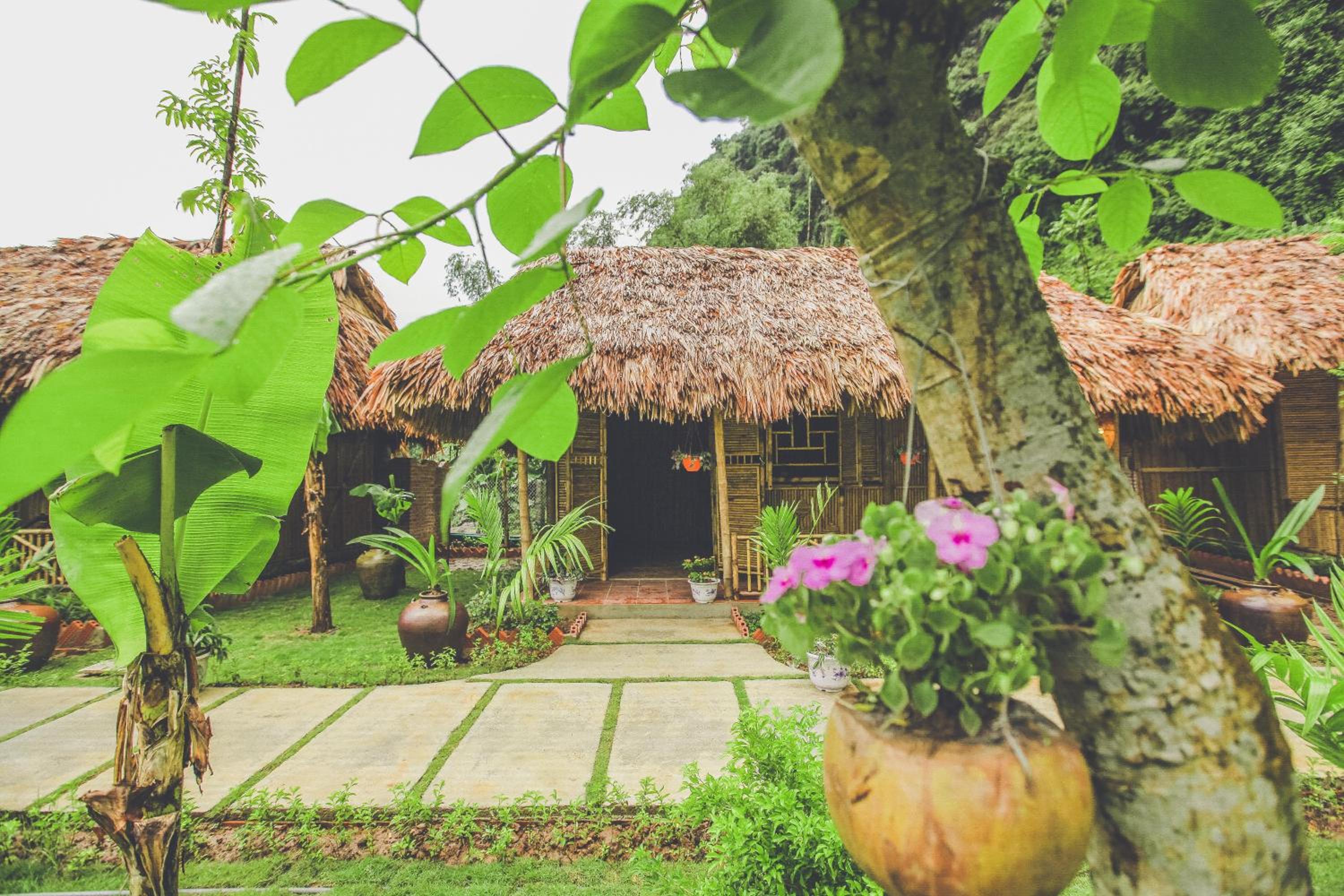Tam Coc Rice Fields Resort 4