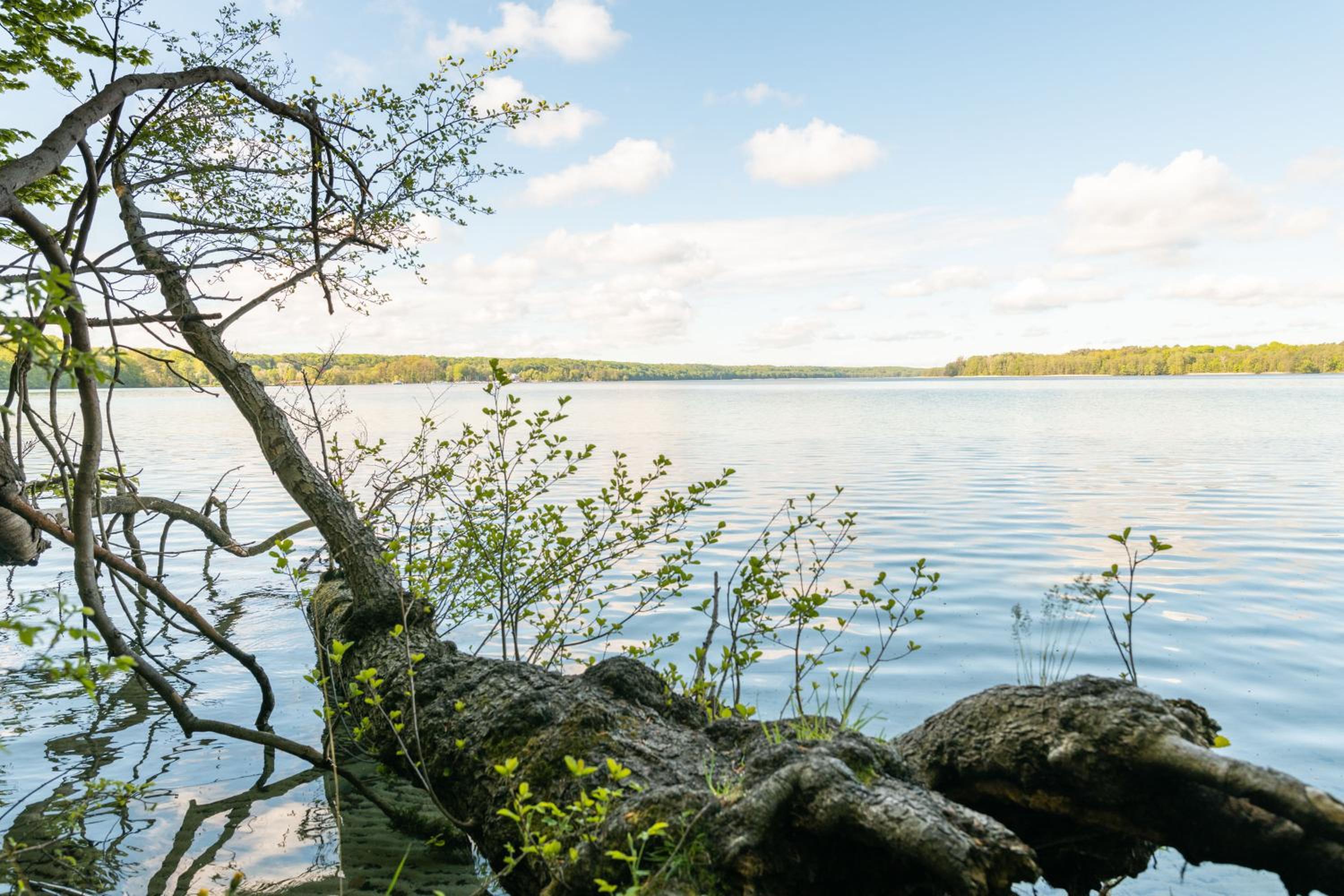 budget seezeit-resort am Werbellinsee - Property Image 36