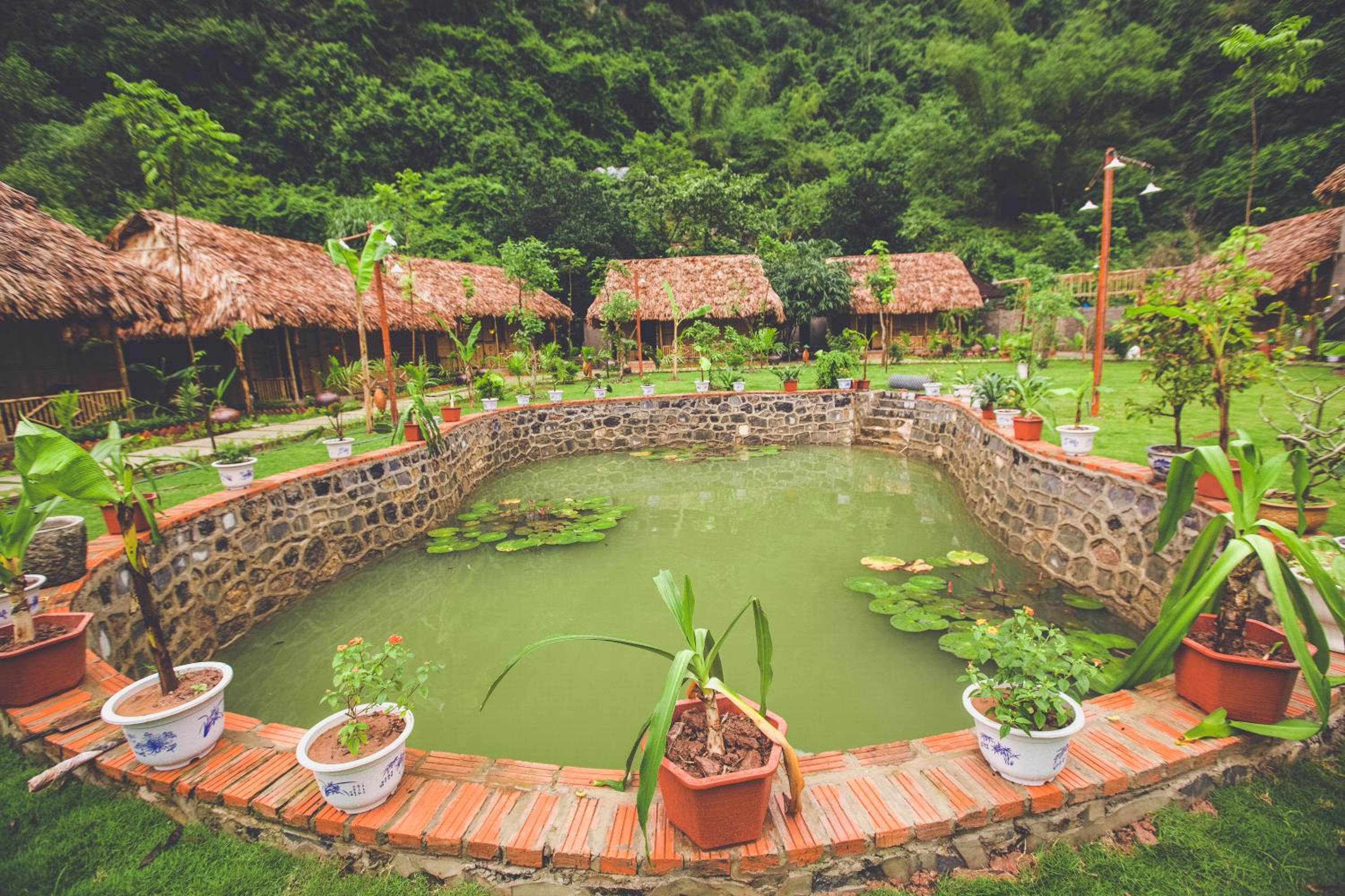 Tam Coc Rice Fields Resort 123