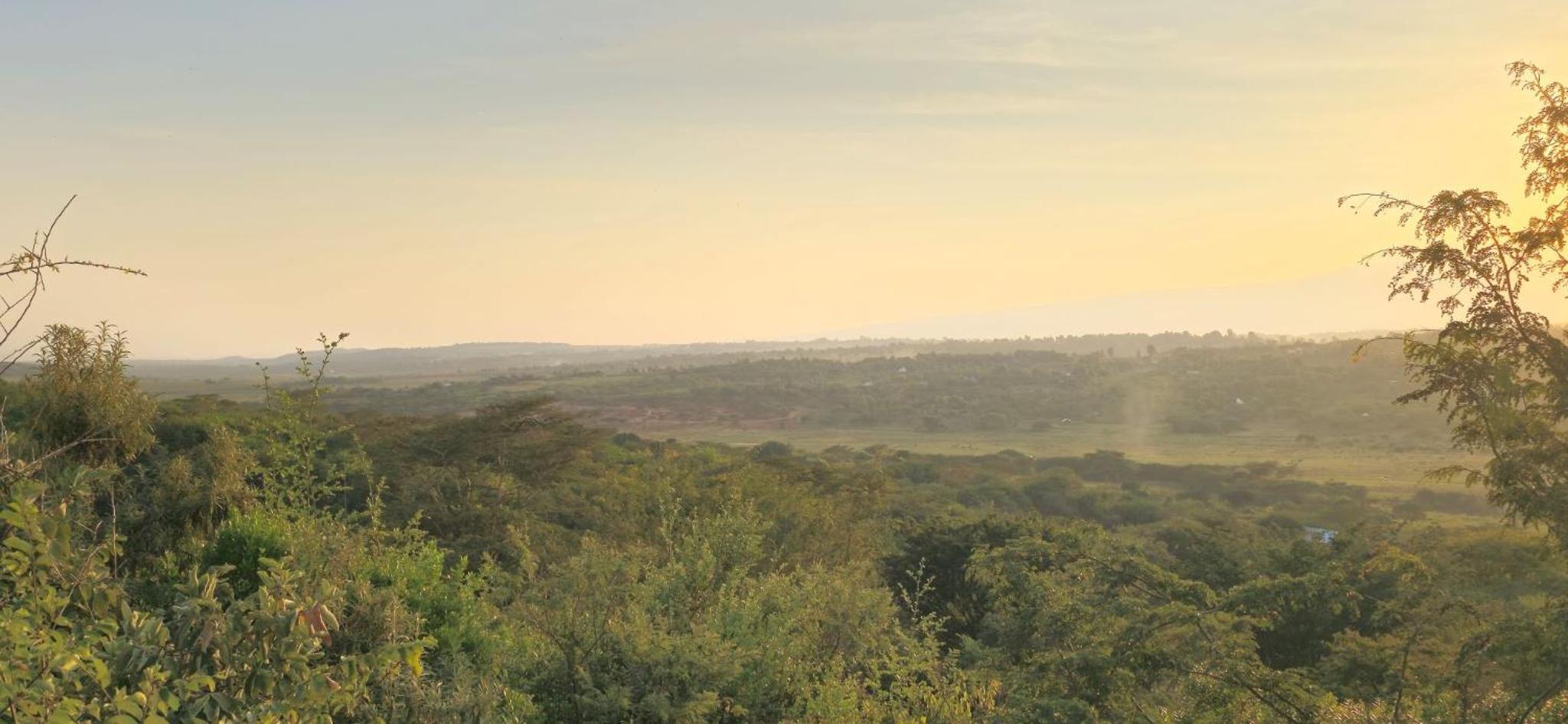 Mamadunia Safari Lodge view 5