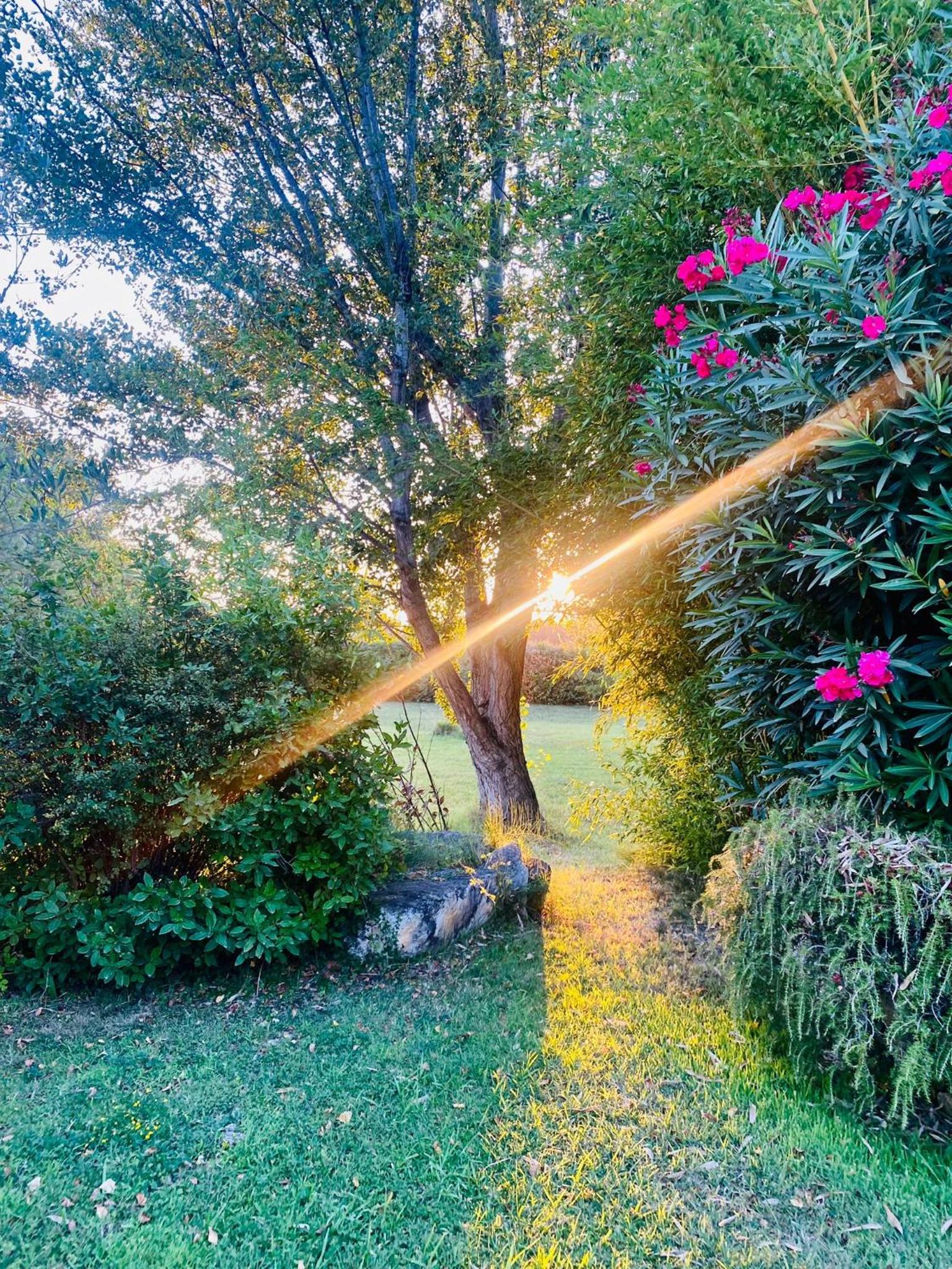 Les Jardins du Soleil, photo 8