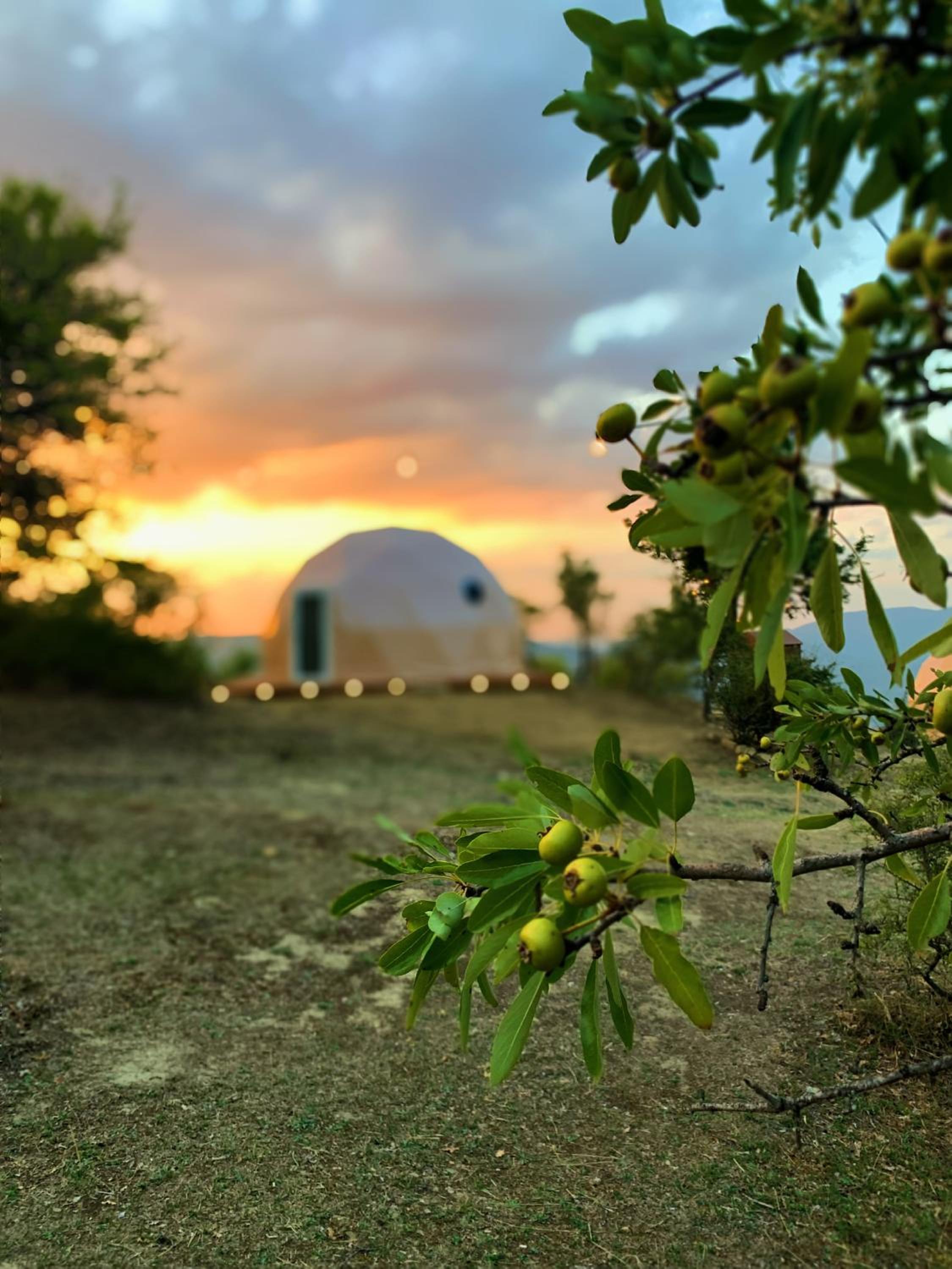 Aura - Glamping Experience