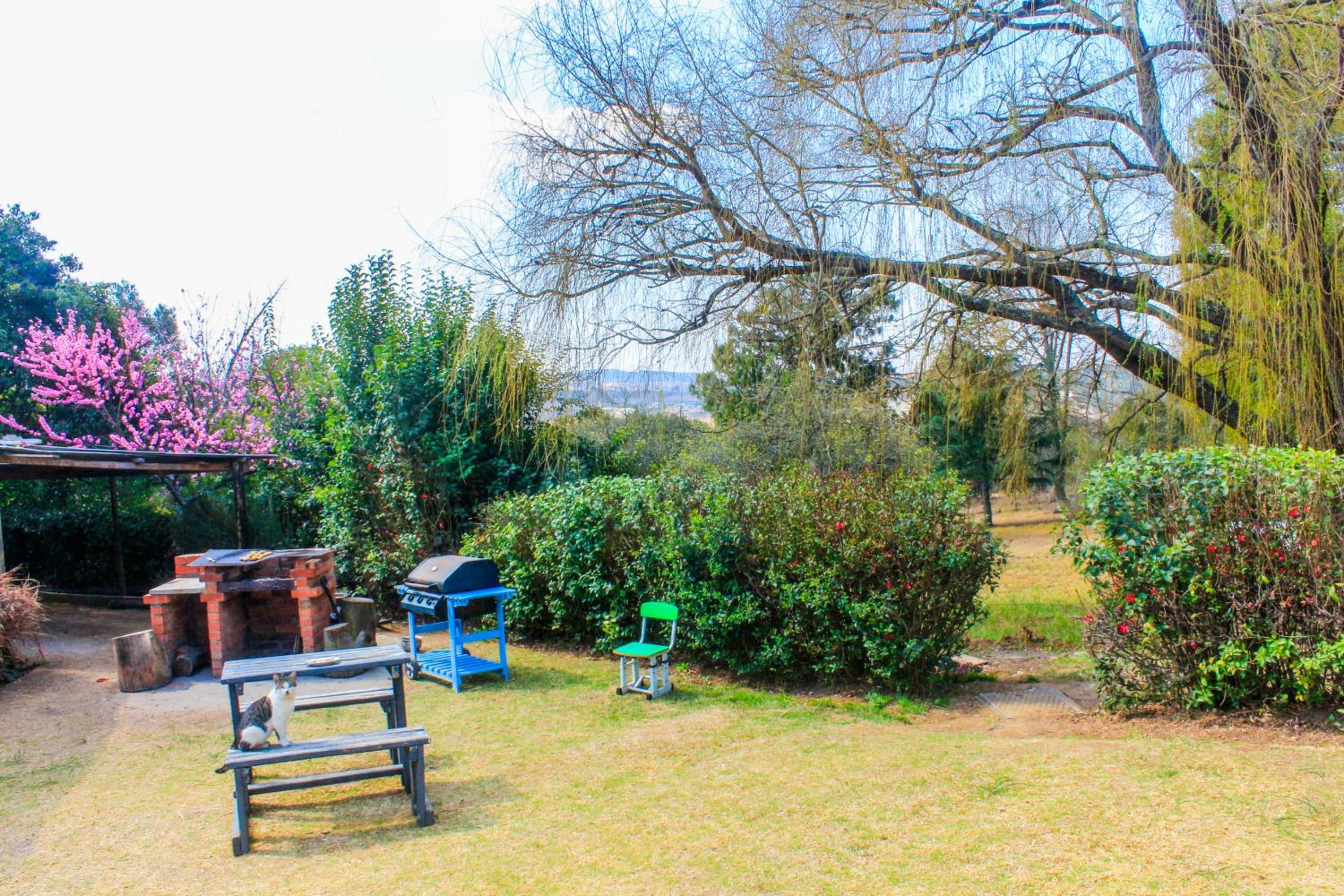 The Big Five Bed and breakfast