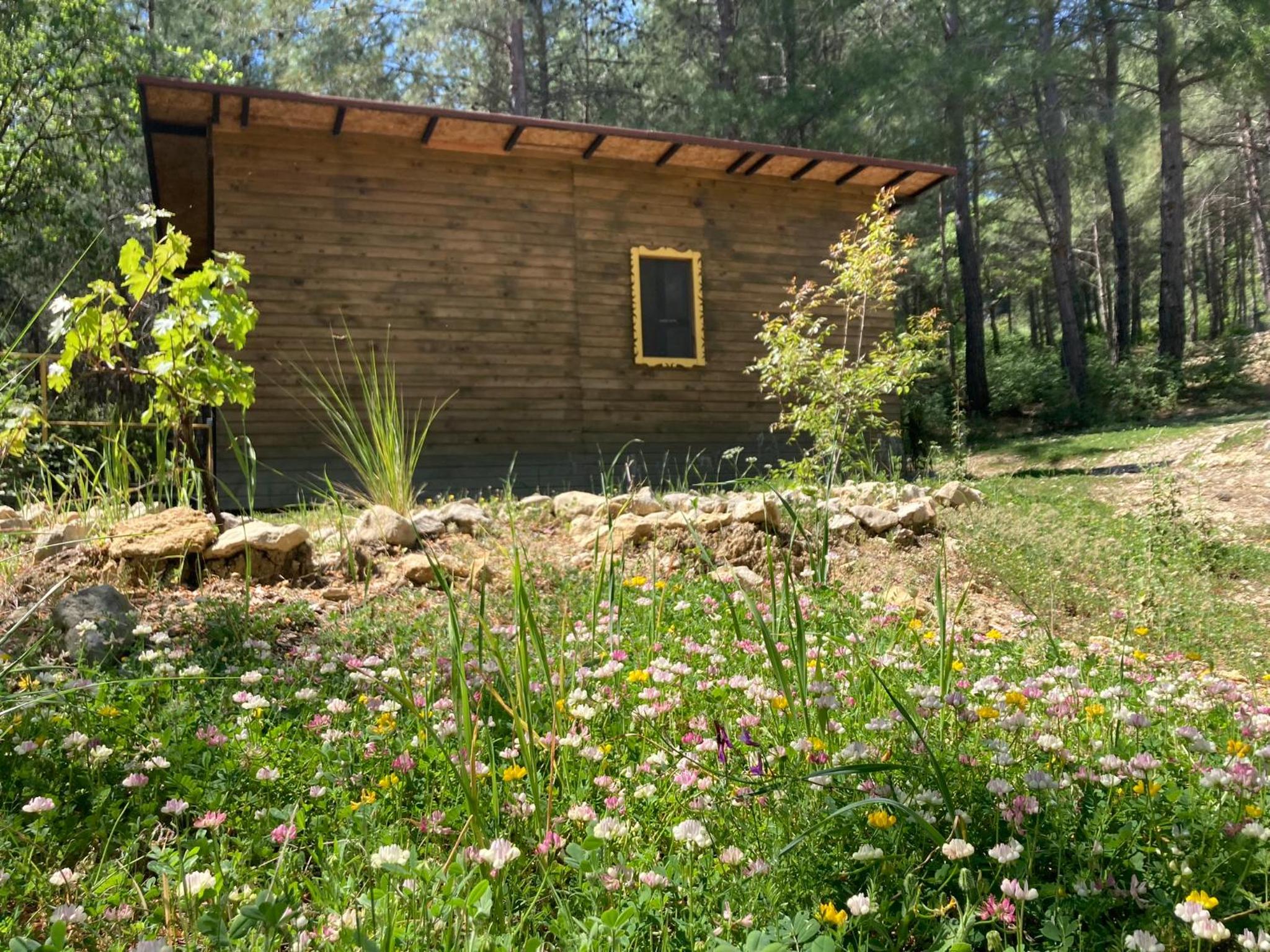 Sens Bungalows