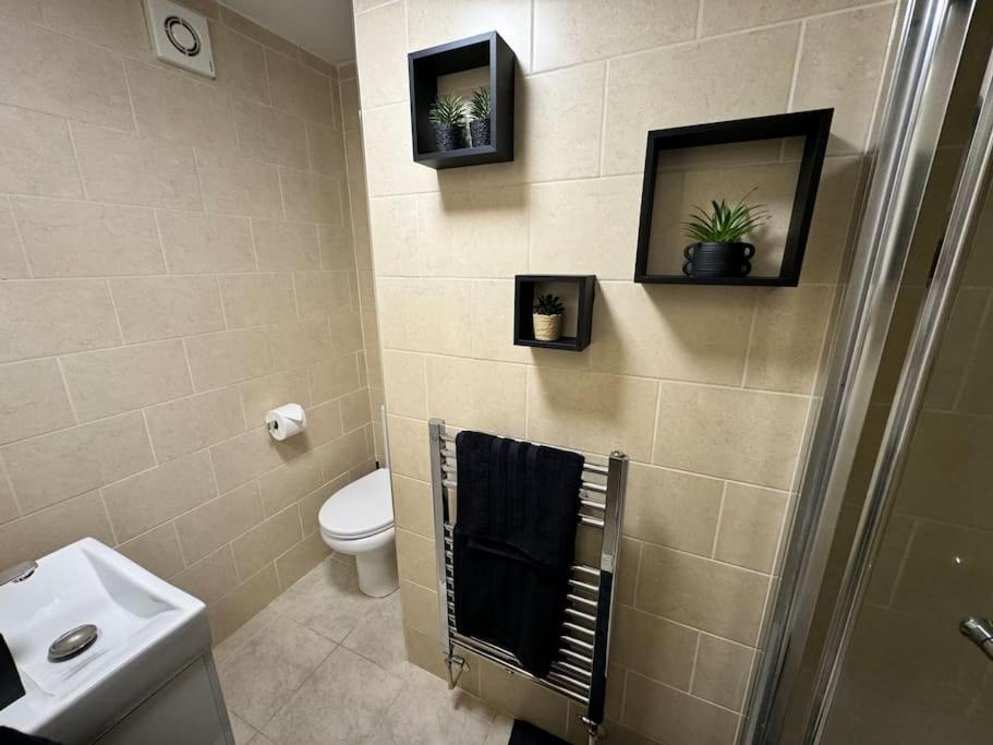 Modern spacious studio with a courtyard located in central London