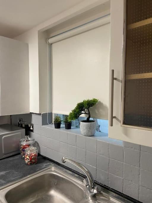 Modern spacious studio with a courtyard located in central London