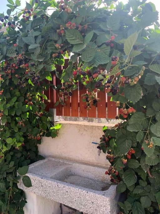 to ble Künstlersteinhaus mit Garten Barrierefrei