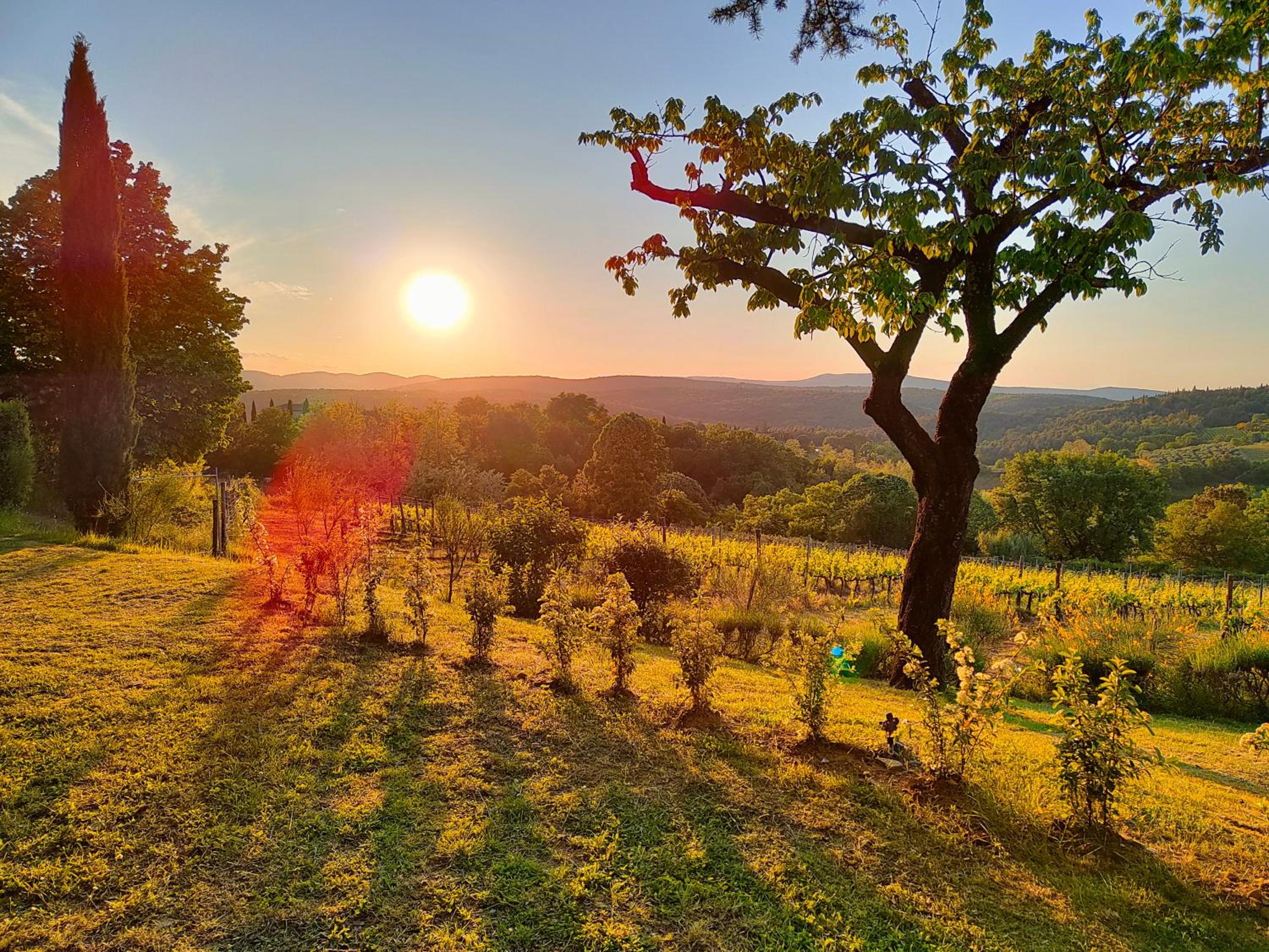 Borgo Villa Certano - Case Vacanza in Toscana
