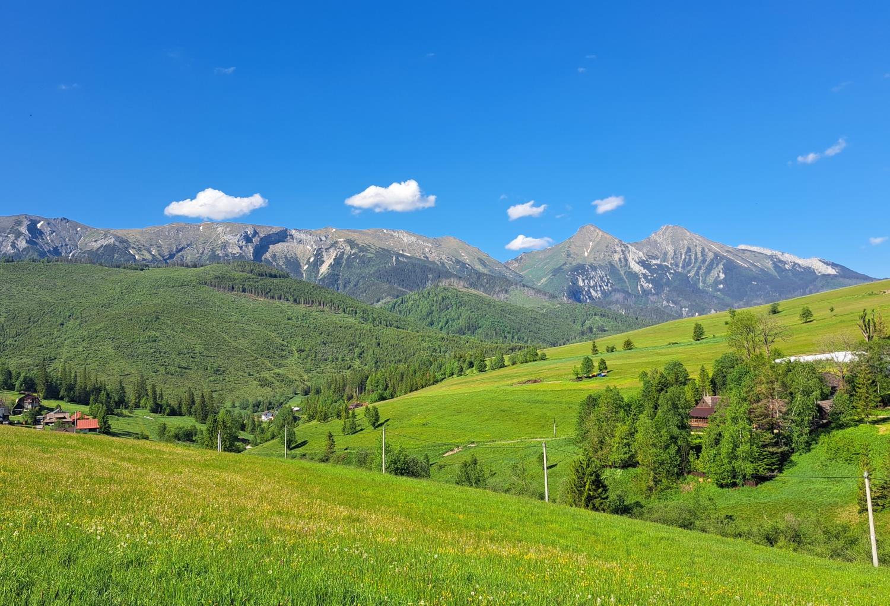 Chalet Plesnivec
