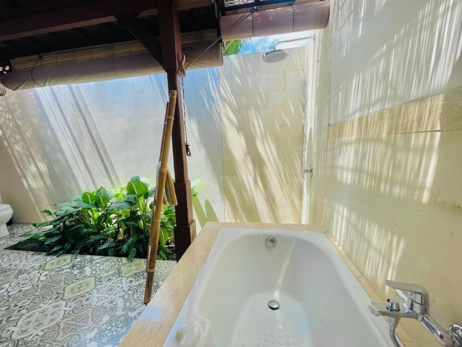 Spacious Villa with Pool & Amazing Rice Field View