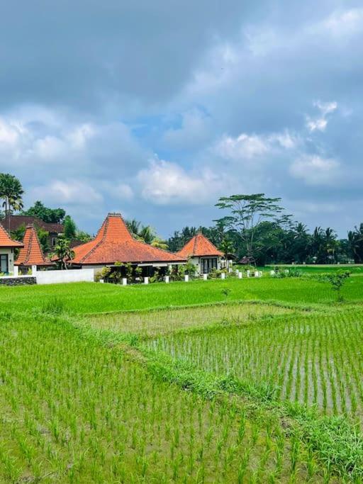 Spacious Villa with Pool & Amazing Rice Field View