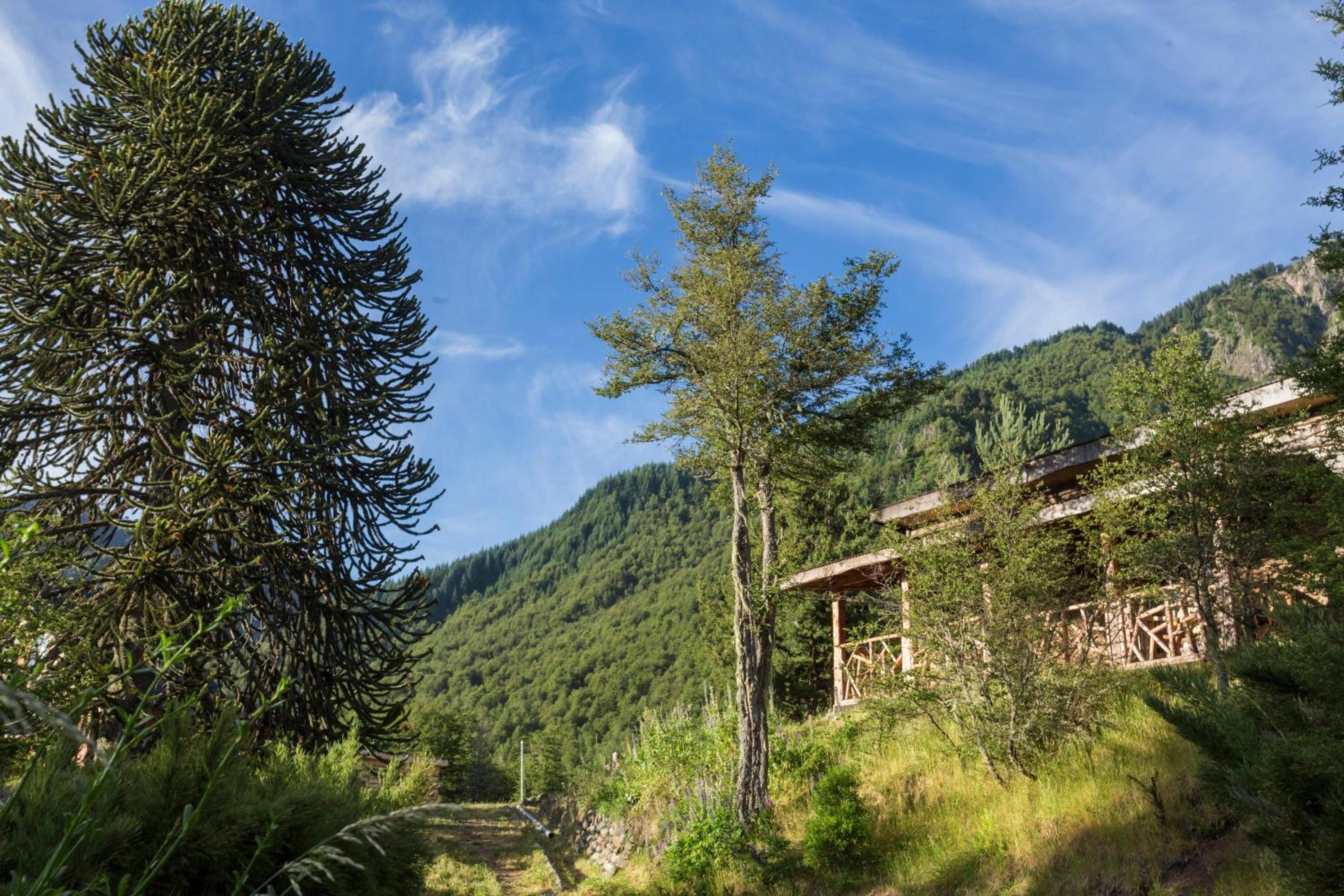 Cabaña Malalcahuello con playa de Rio