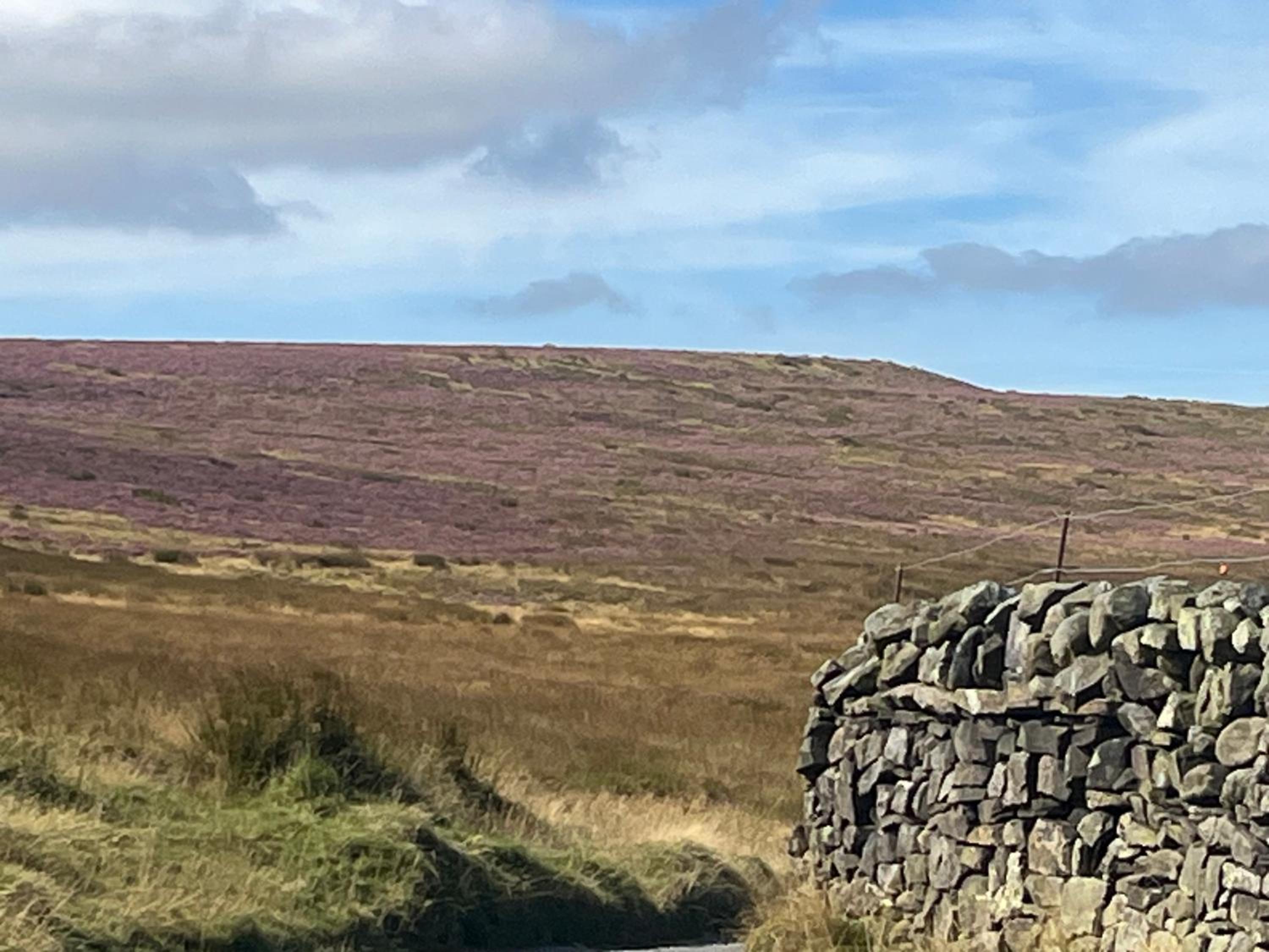 Holmes Cottage in the heart of Haworth