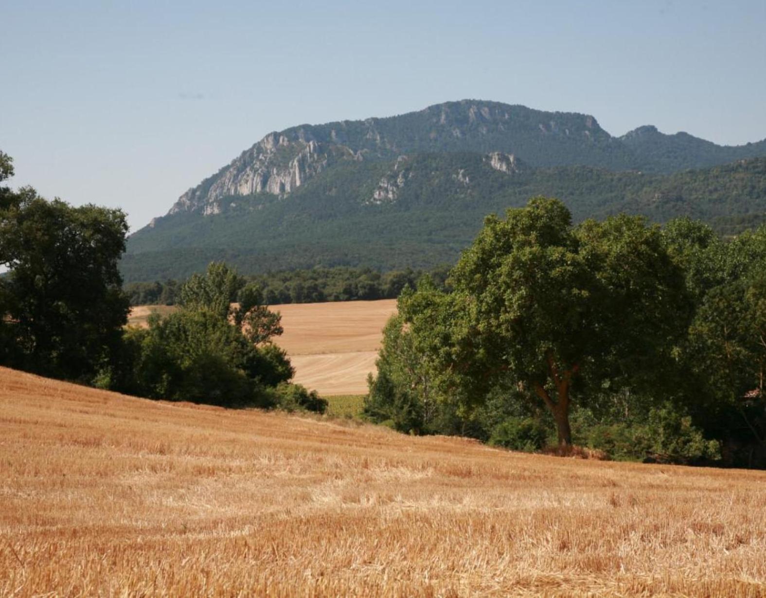 Orlegy