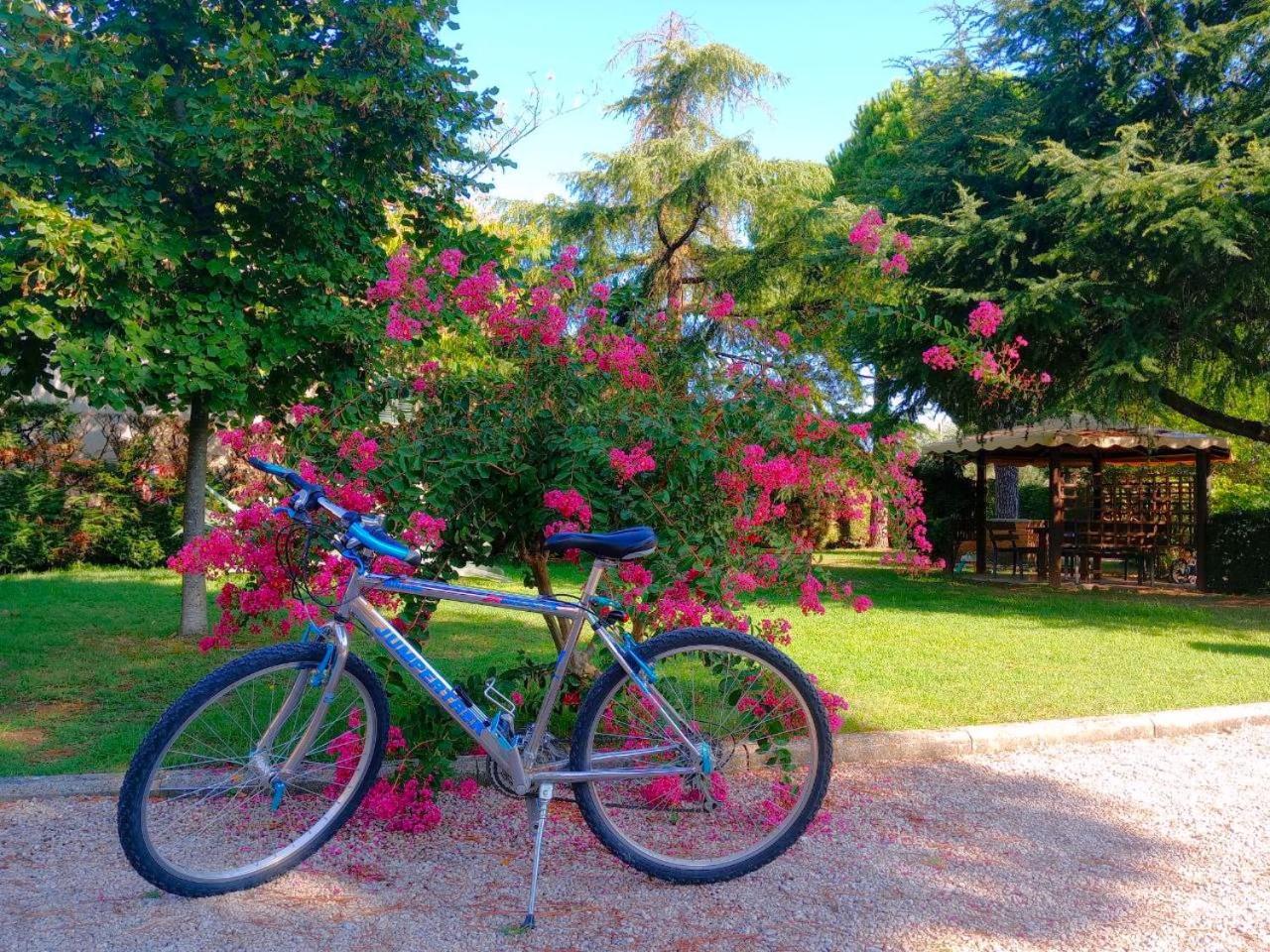 Agriturismo La Piana
